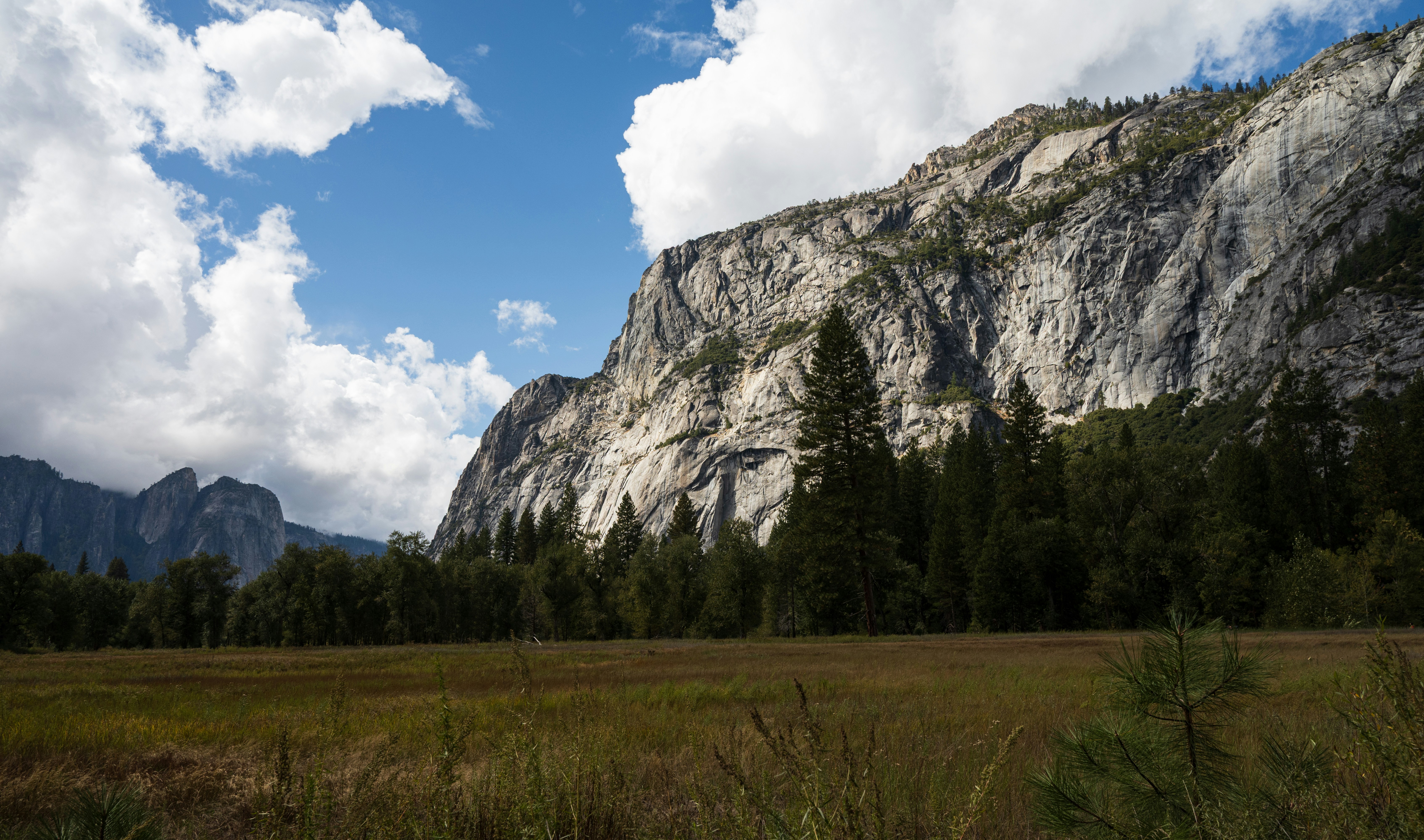 Rocky mountain cliff face with green trees and field.