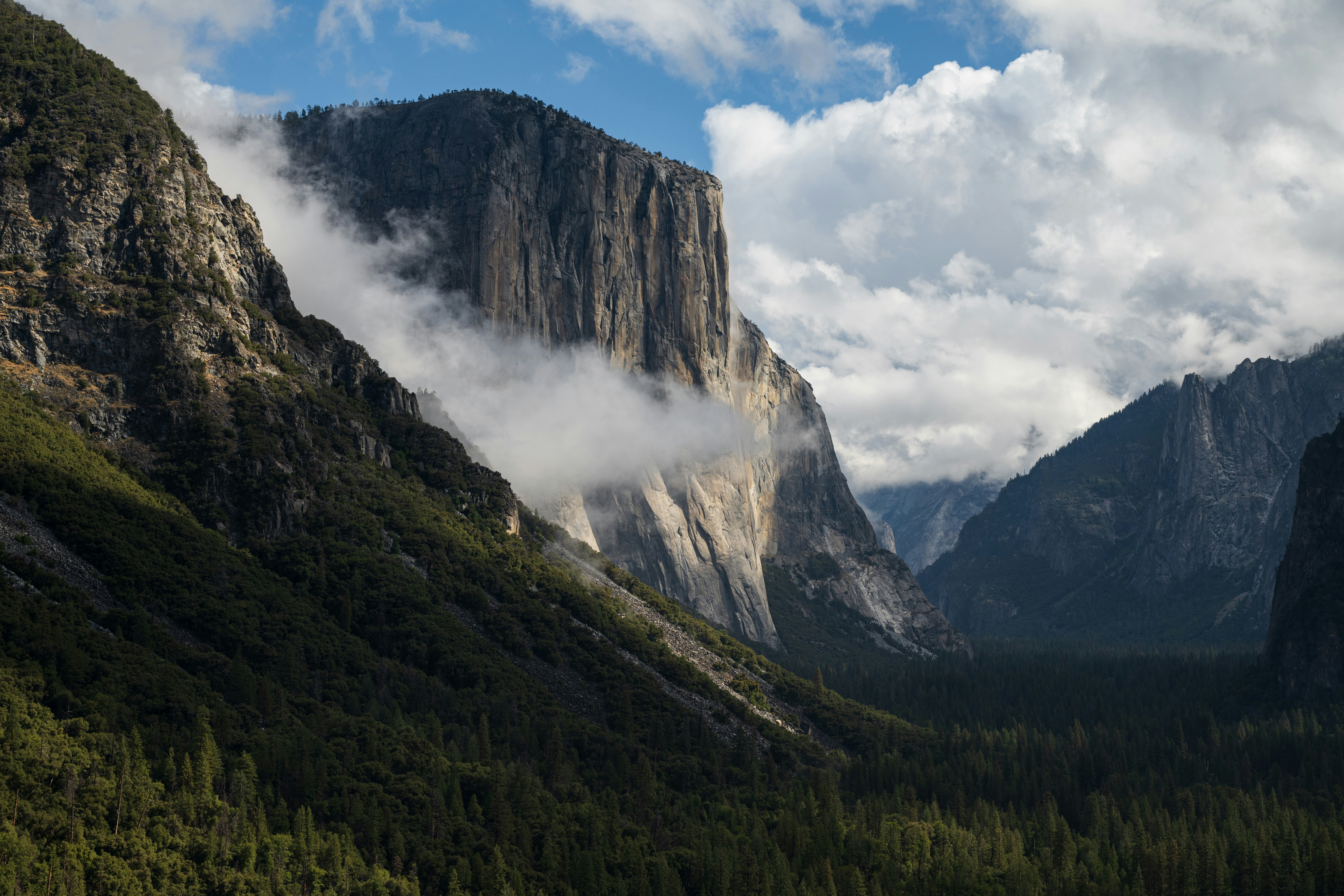 Majestic el capitan rock formation shrouded in mist