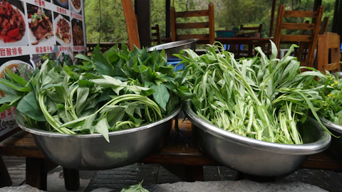 Baby Salad Greens