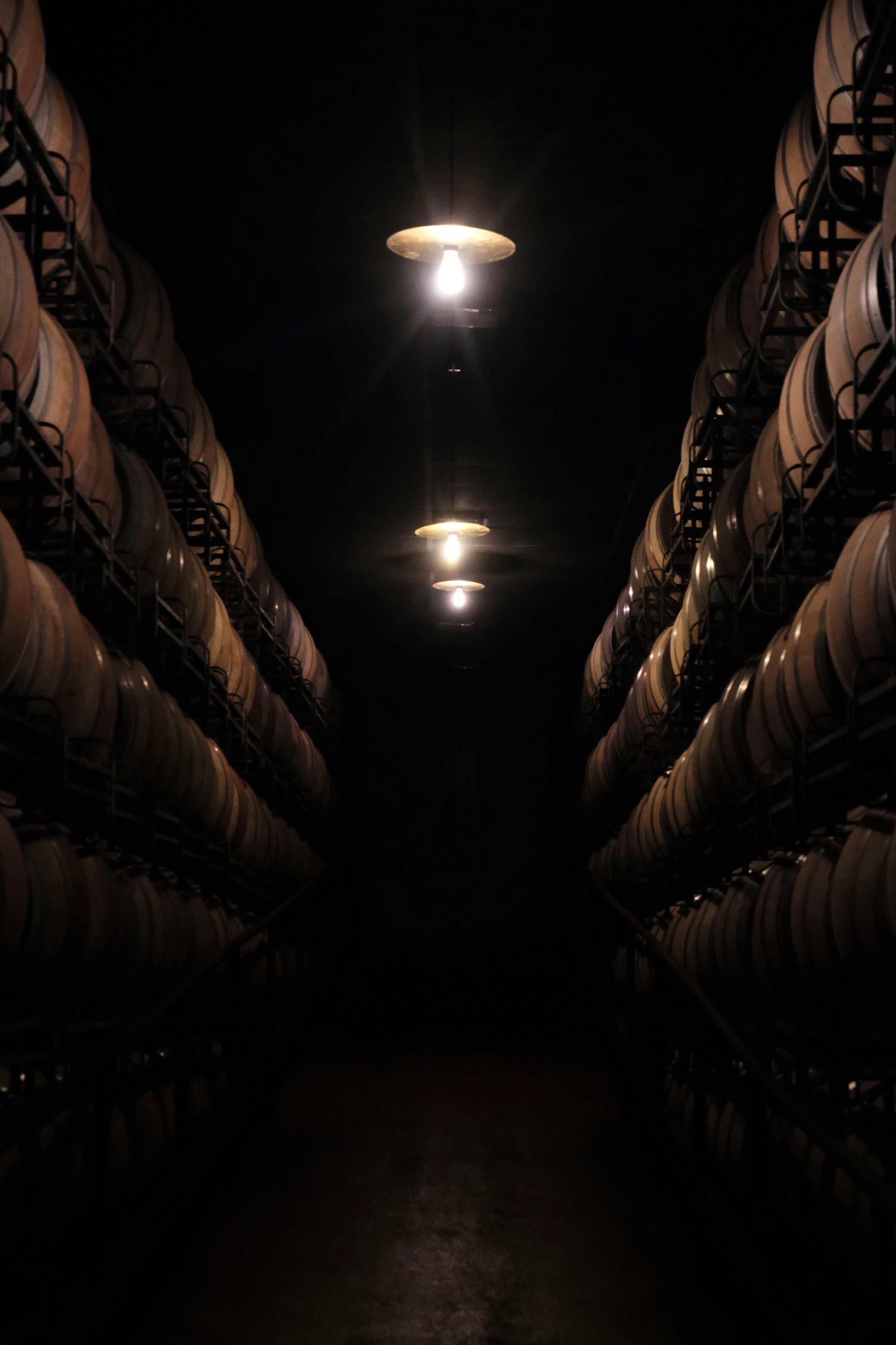 Filas de barricas de vino en una oscura bodega