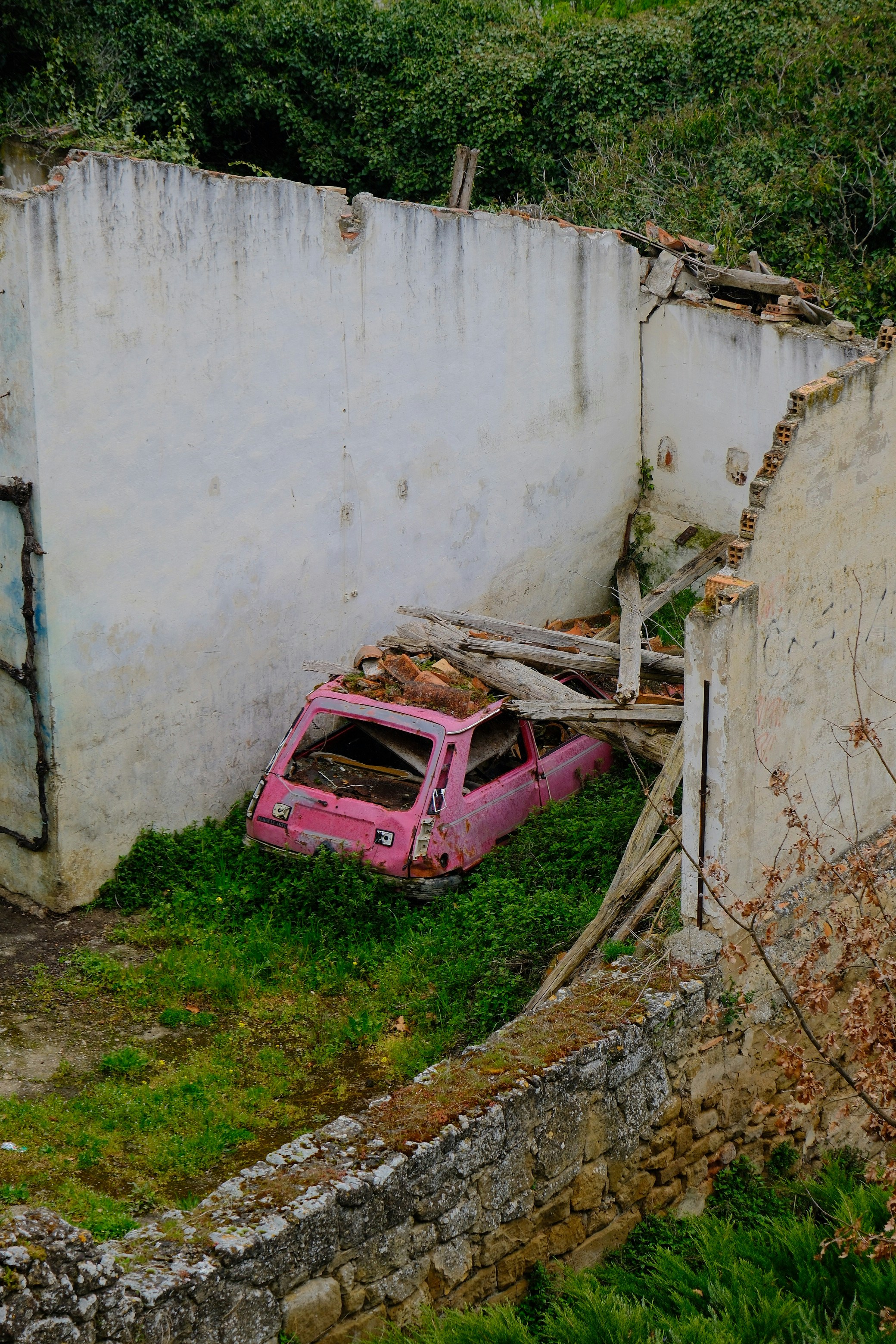 Coche rosa abandonado en ruinas cubiertas de maleza