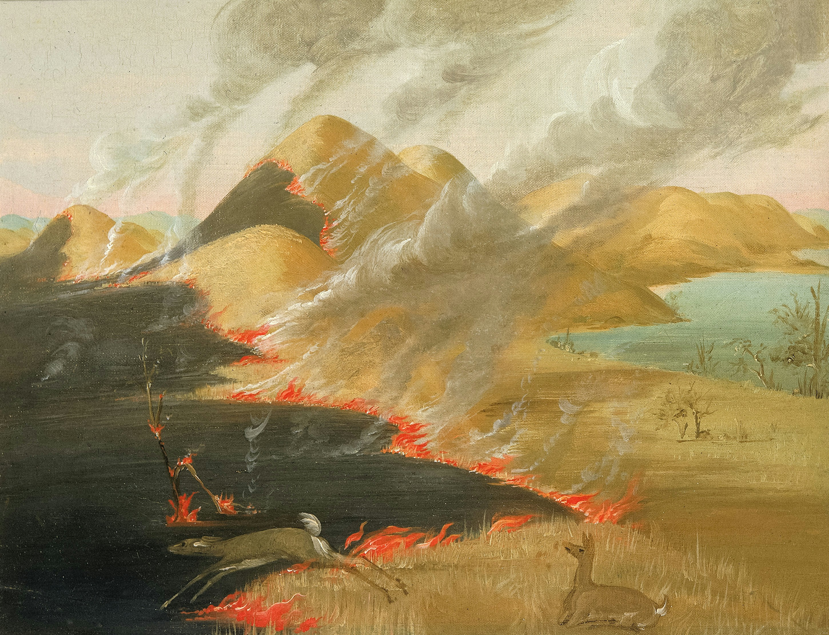 Photo by smithsonian