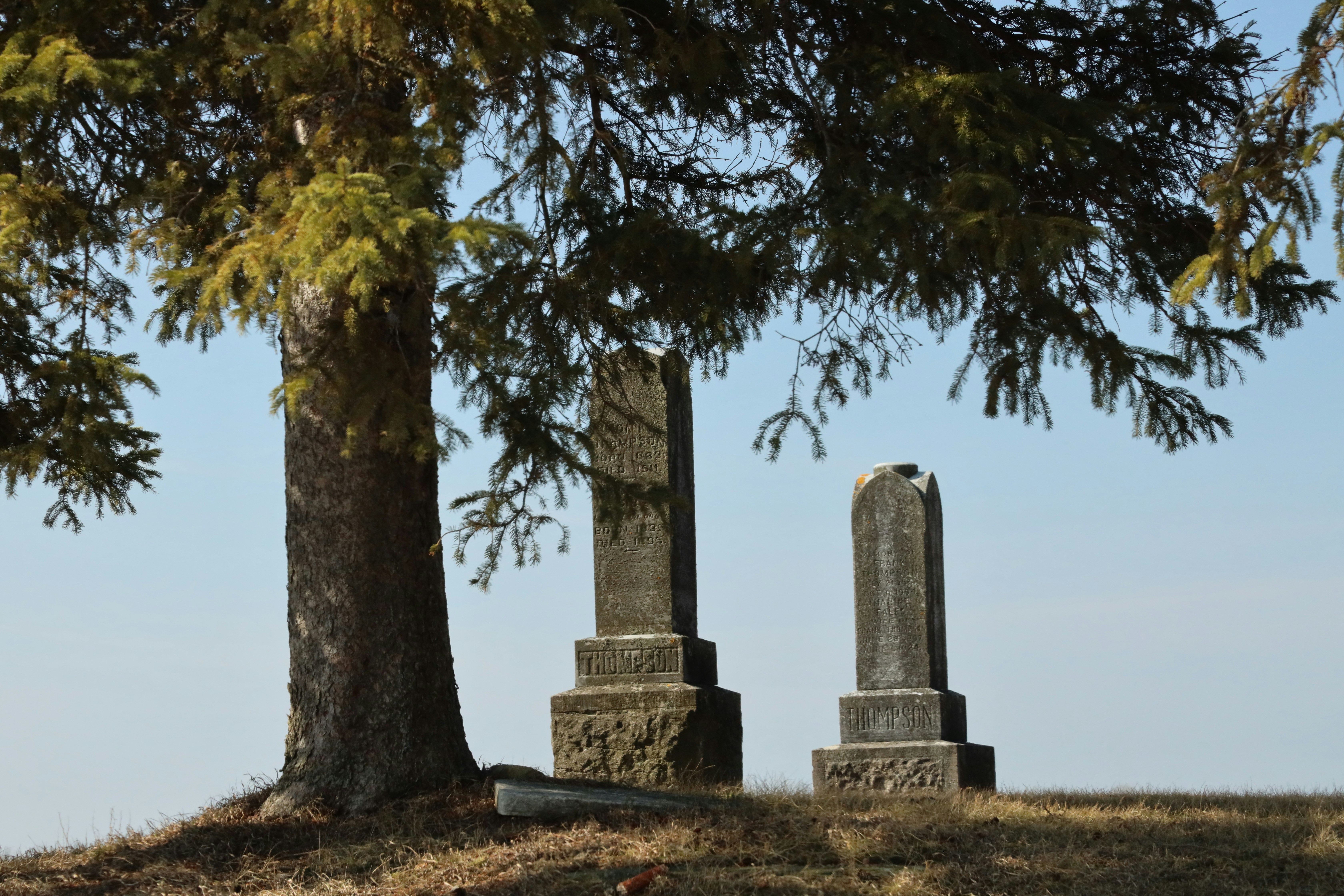 Deux vieilles pierres tombales sous un grand arbre