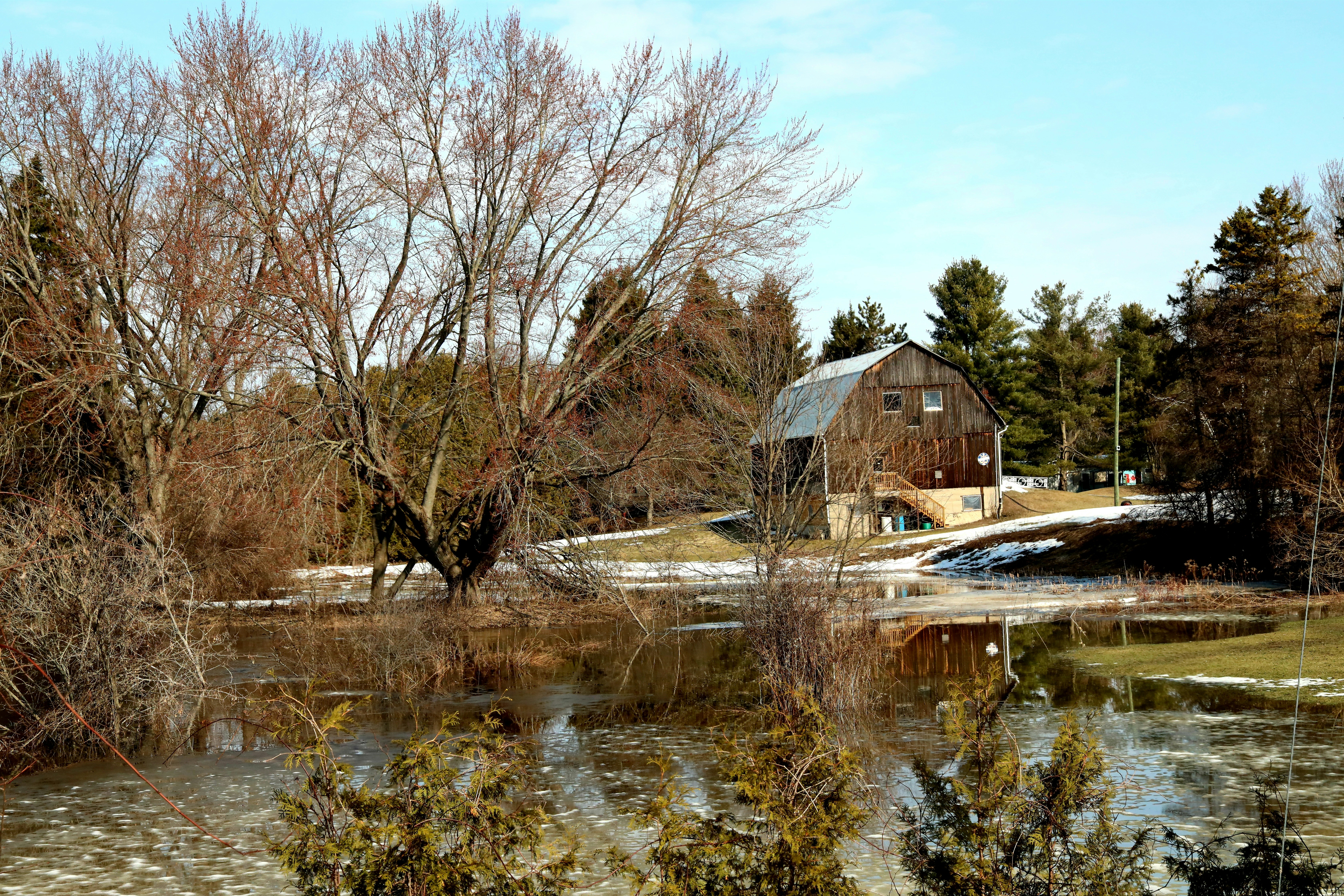 Grange rustique près d’un plan d’eau réfléchissant