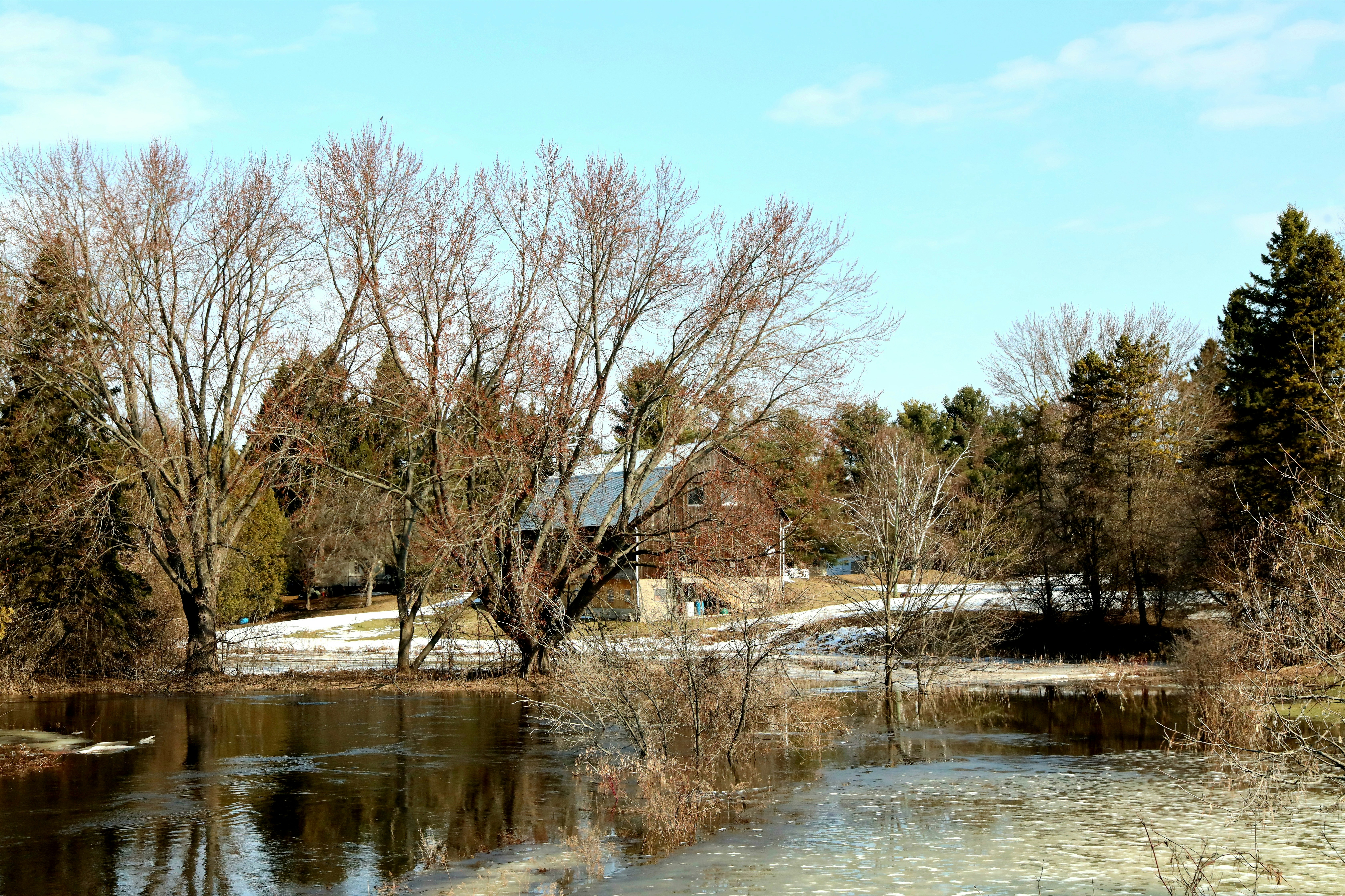 Saluda Springs Park