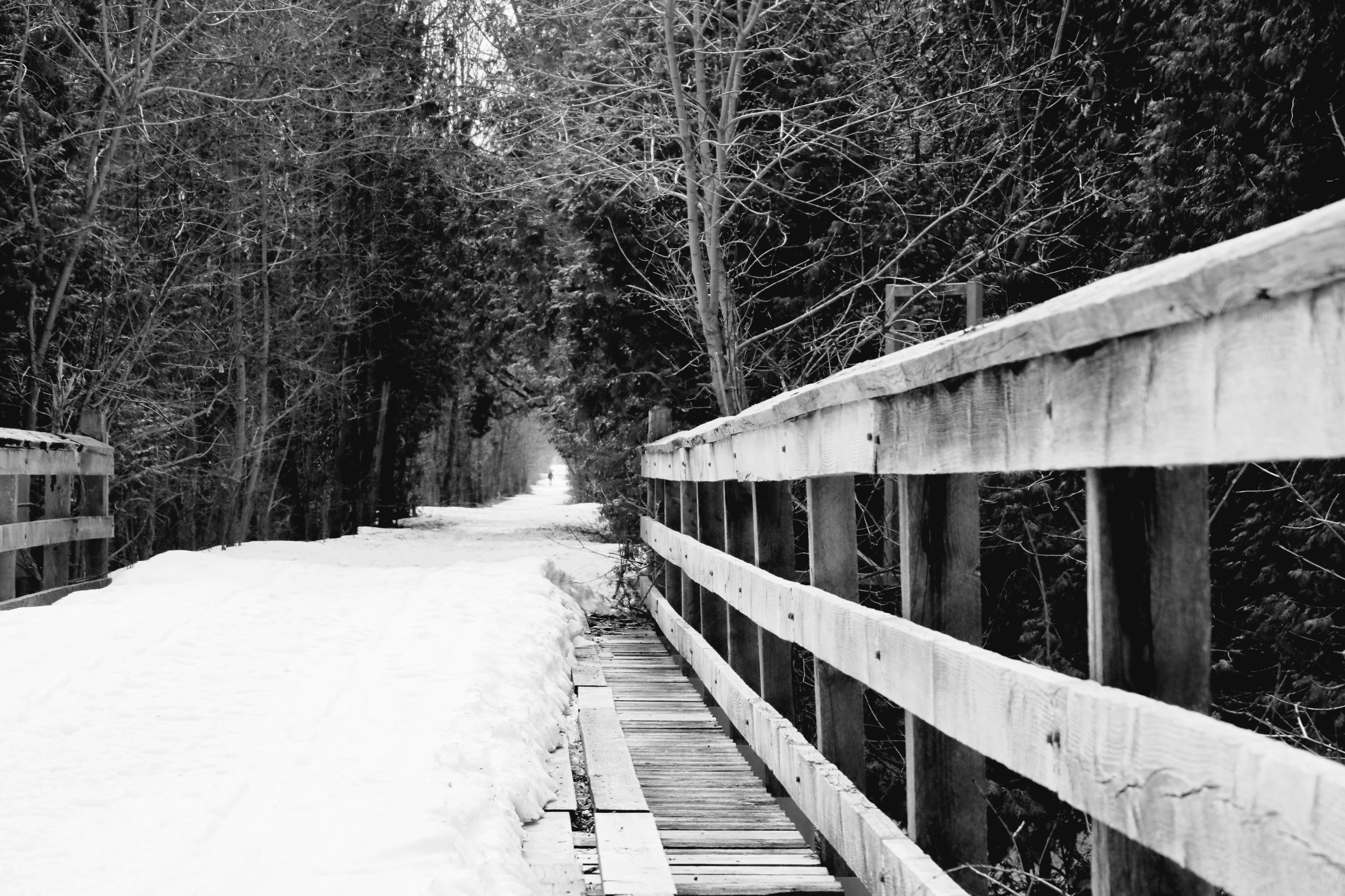 Chemin enneigé à travers une forêt avec un pont en bois