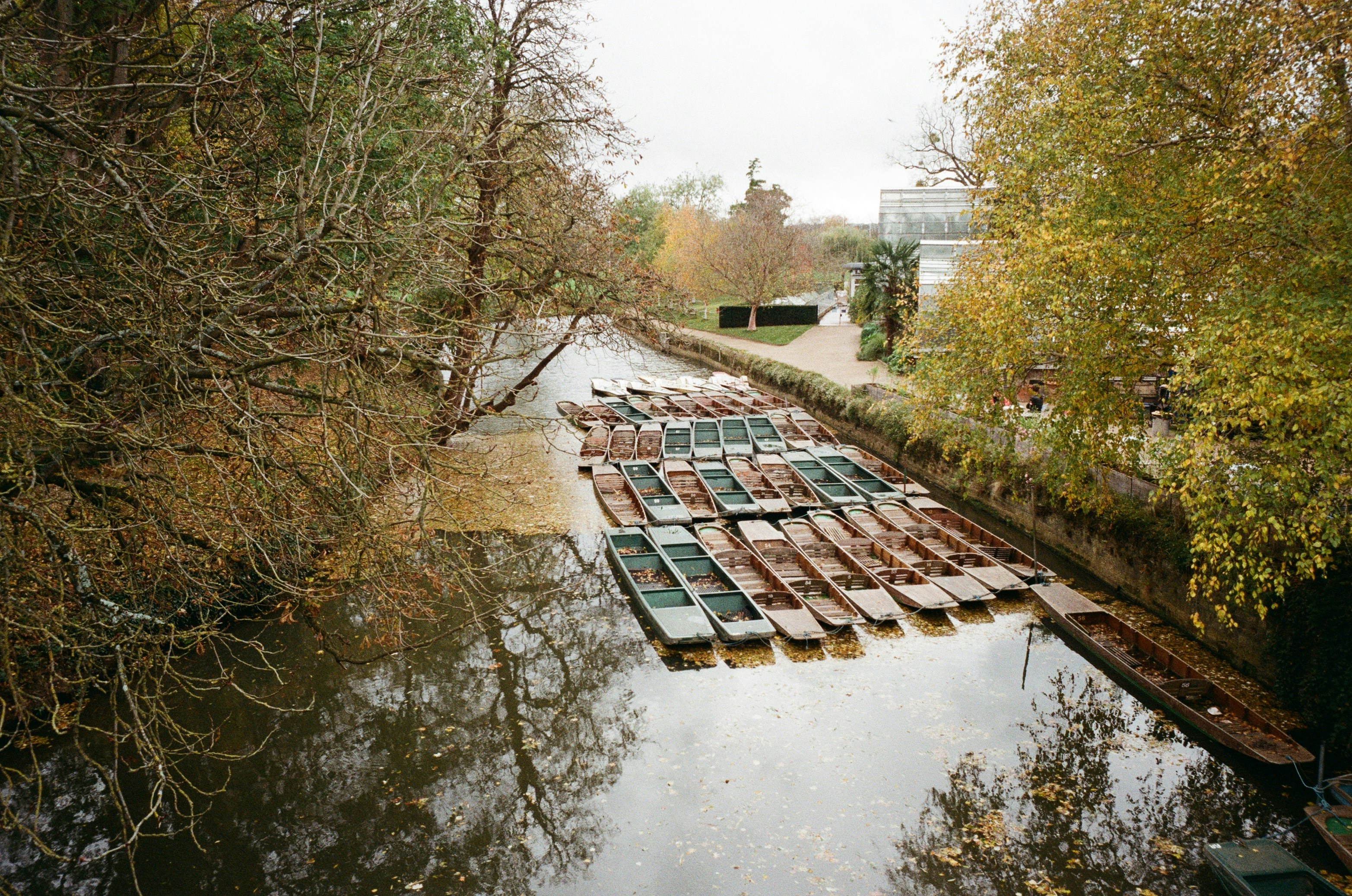 Dozens of small boats lined up on a tranquil river.