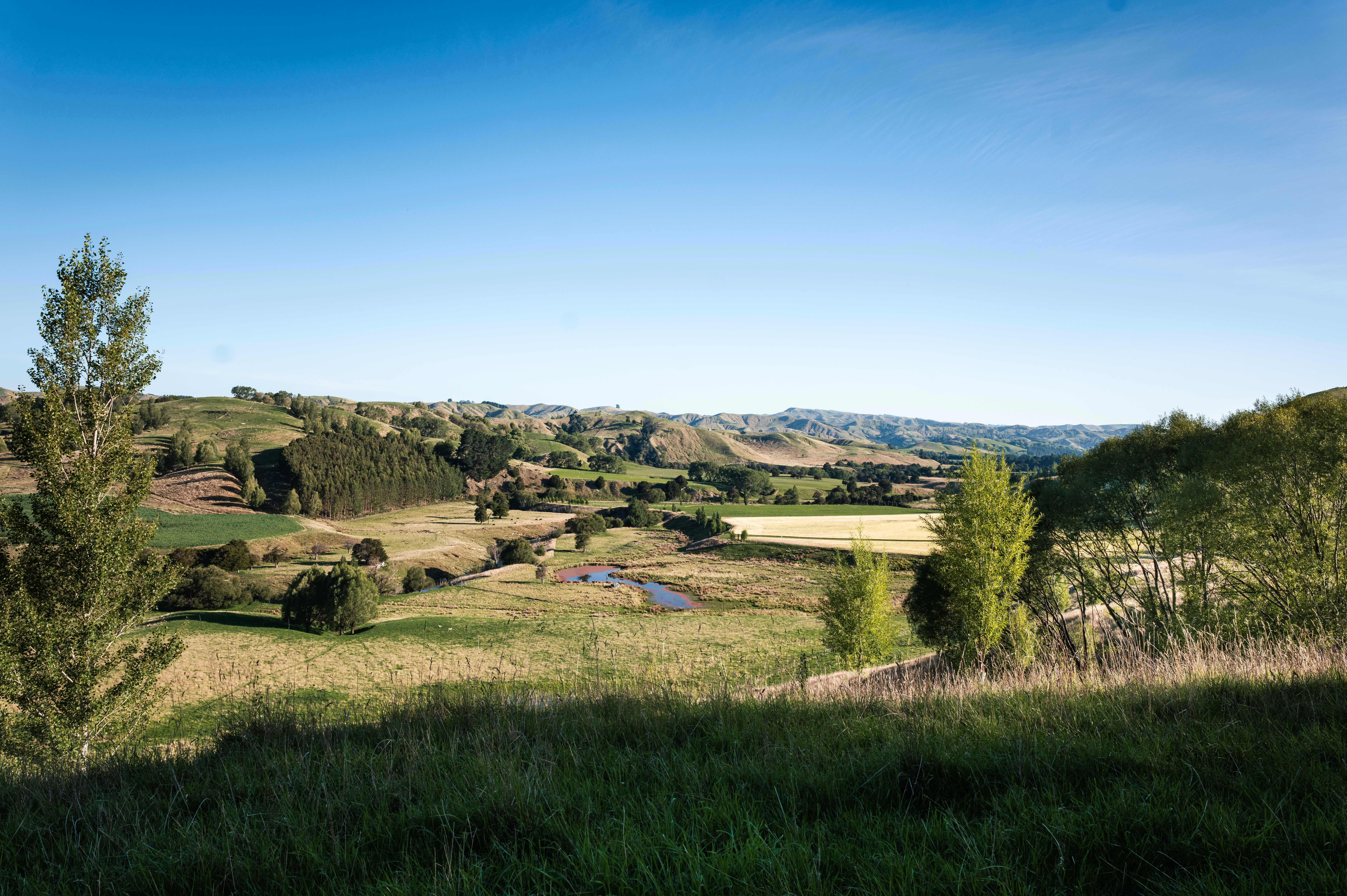 Wairarapa.