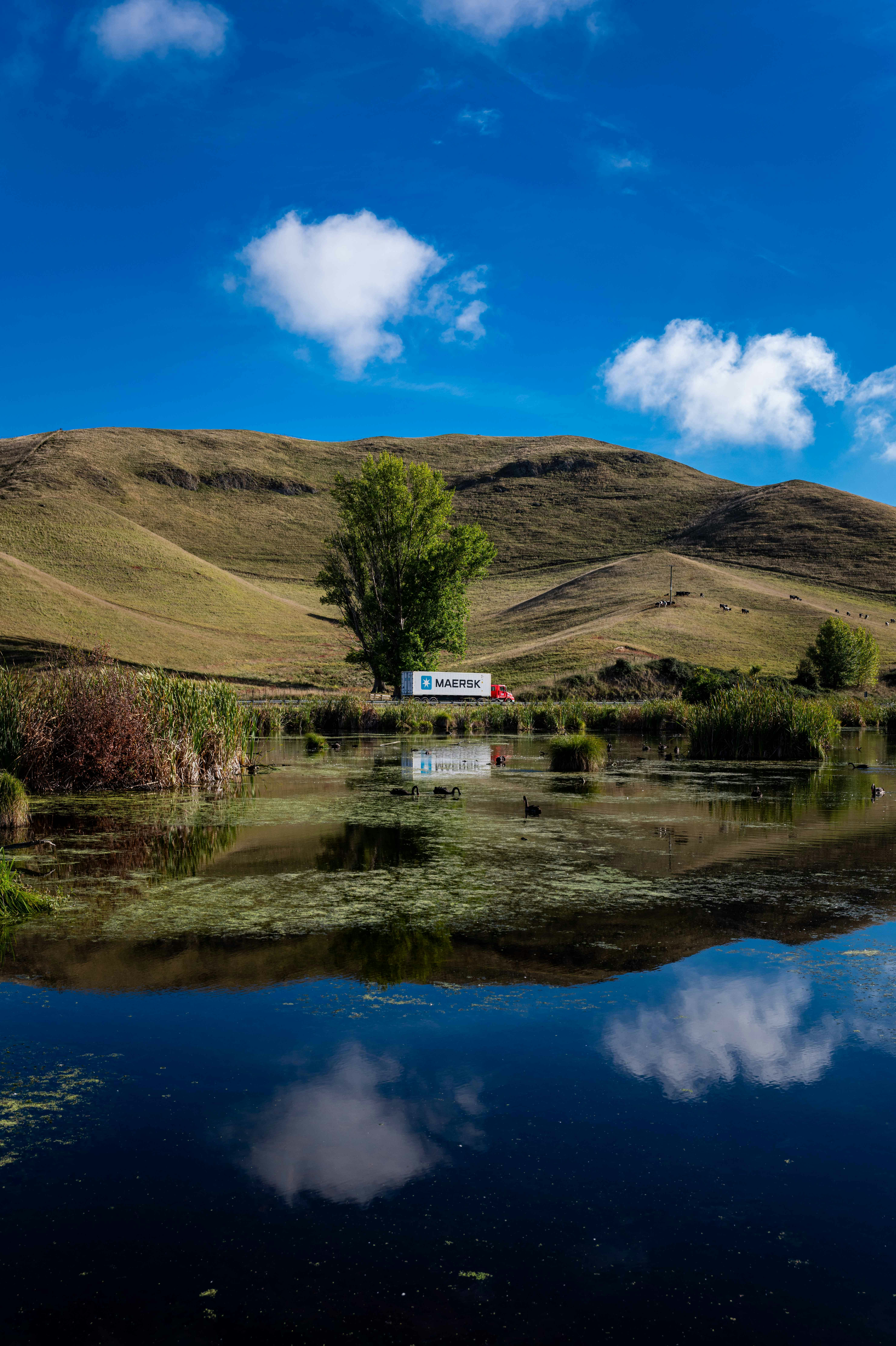 A serene landscape with a reflective pond and rolling hills.