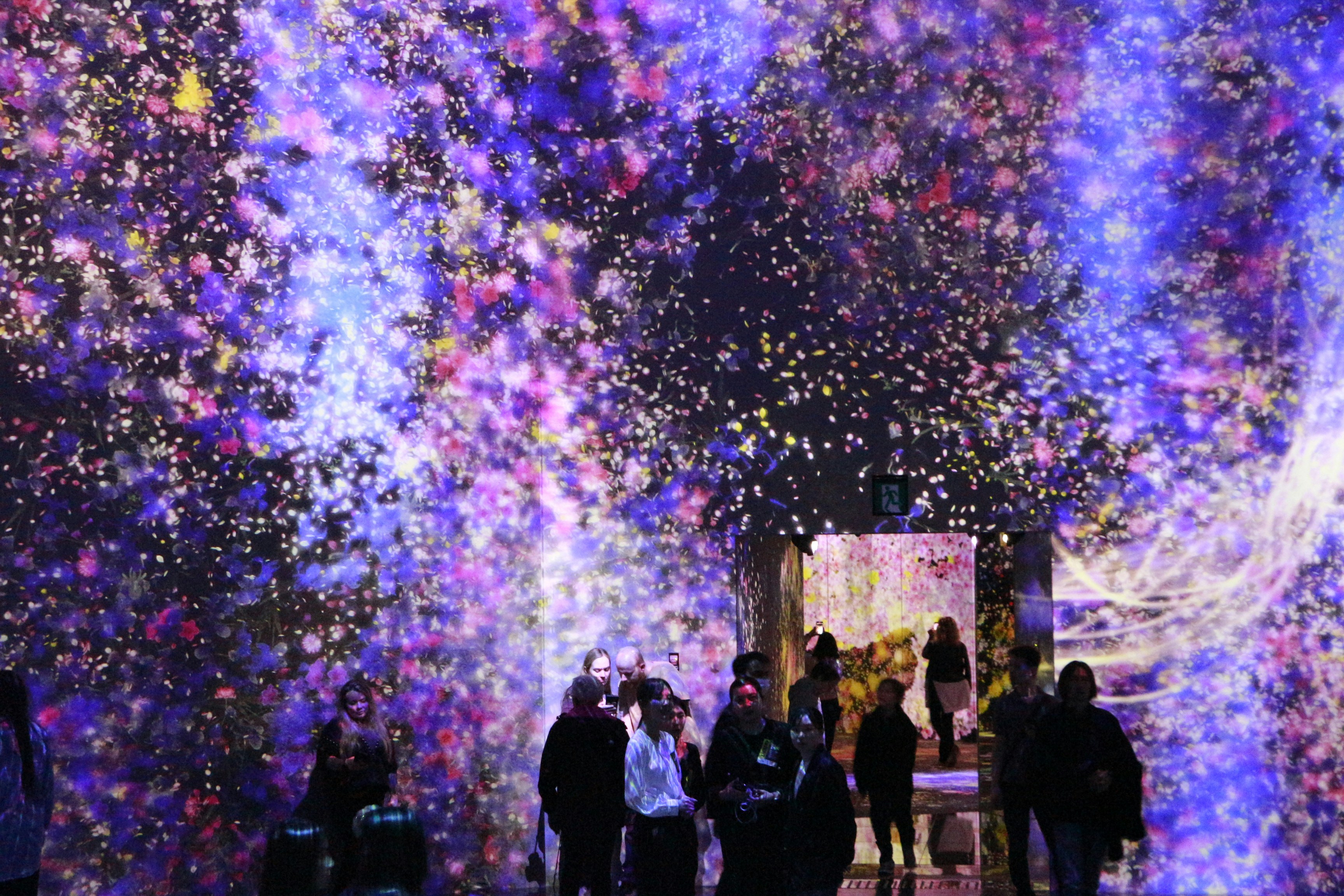 Pessoas caminham por uma instalação luminosa vibrante e abstrata