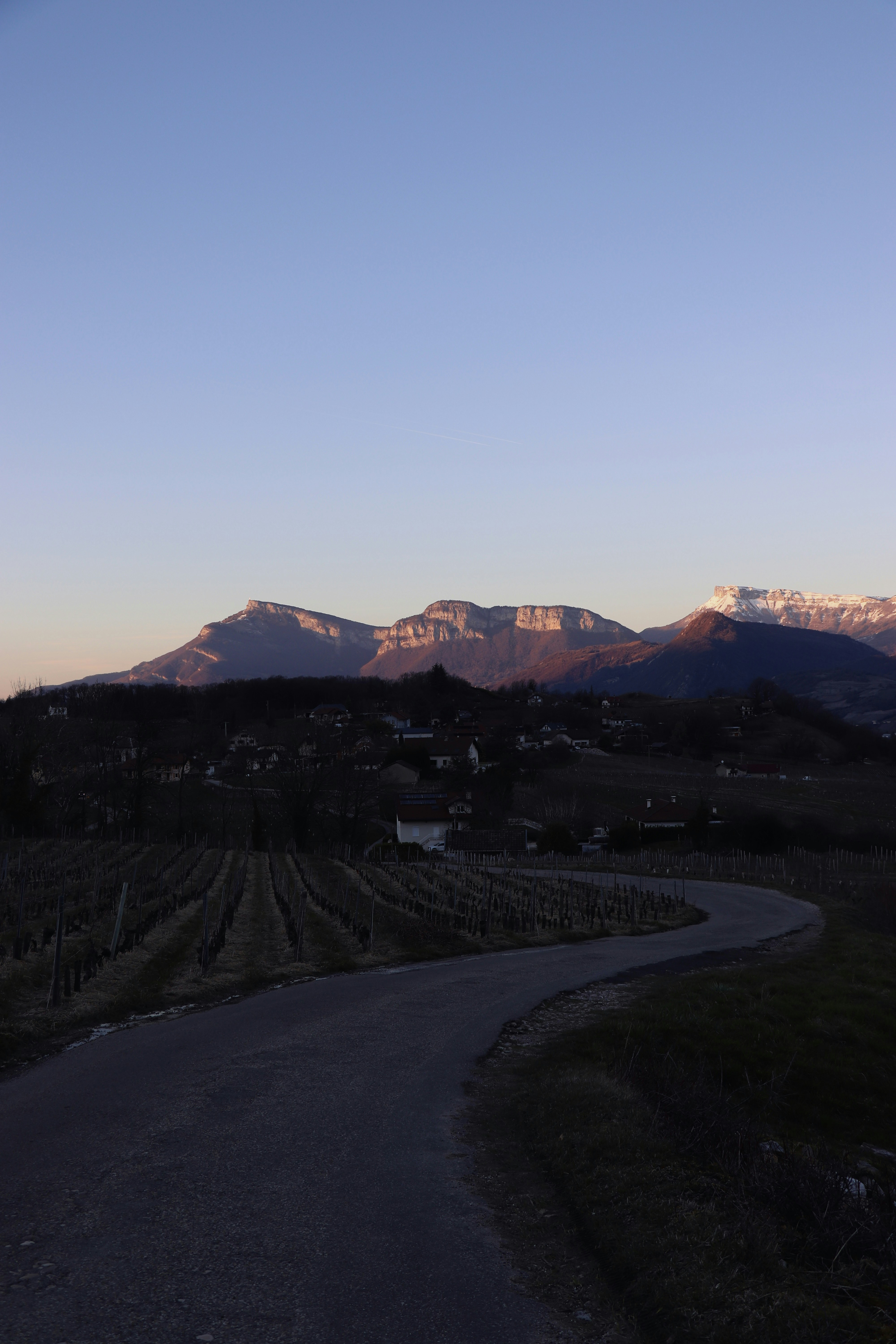 Vignoble de Savoie