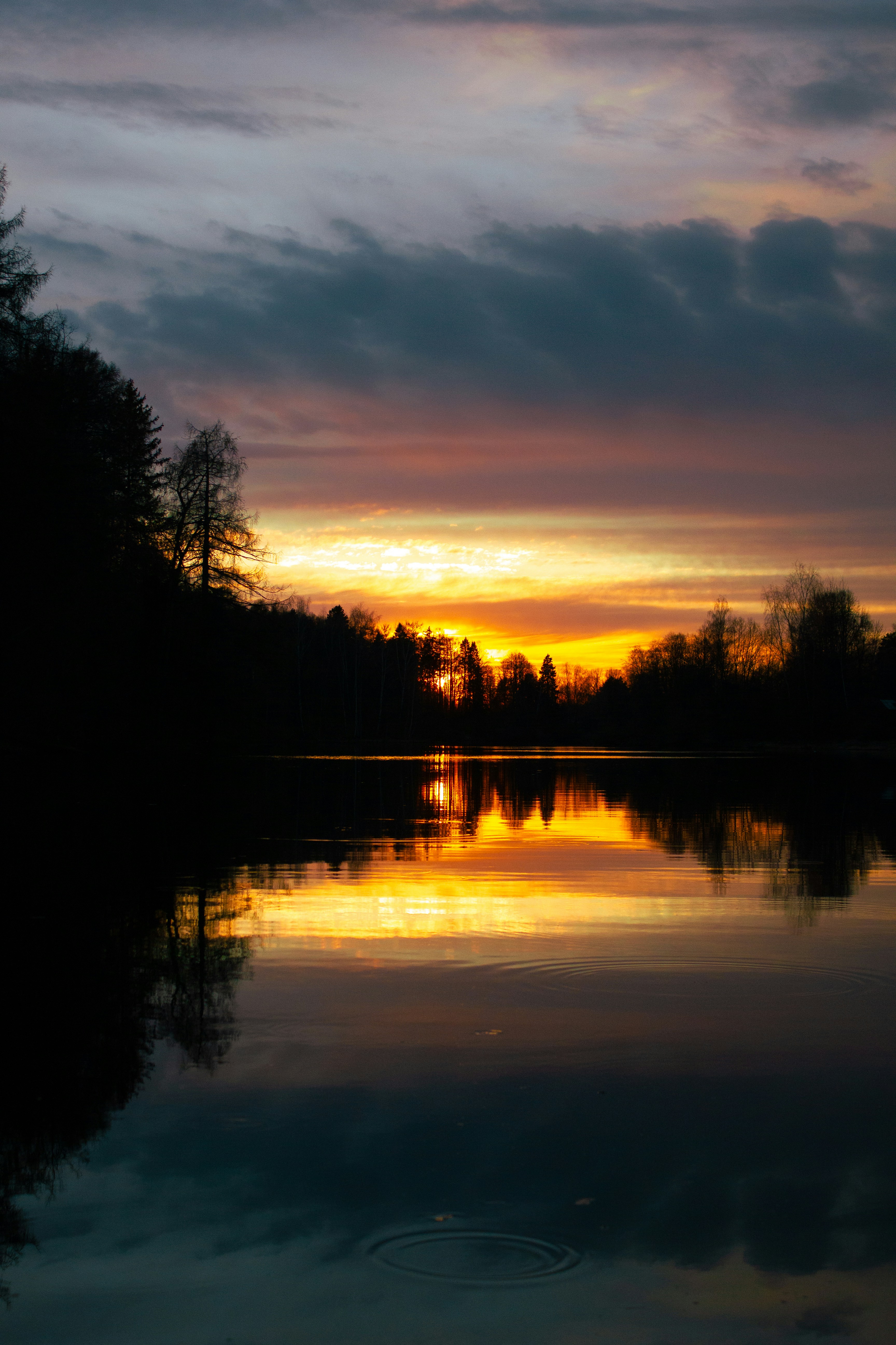 Photo by kumayuru