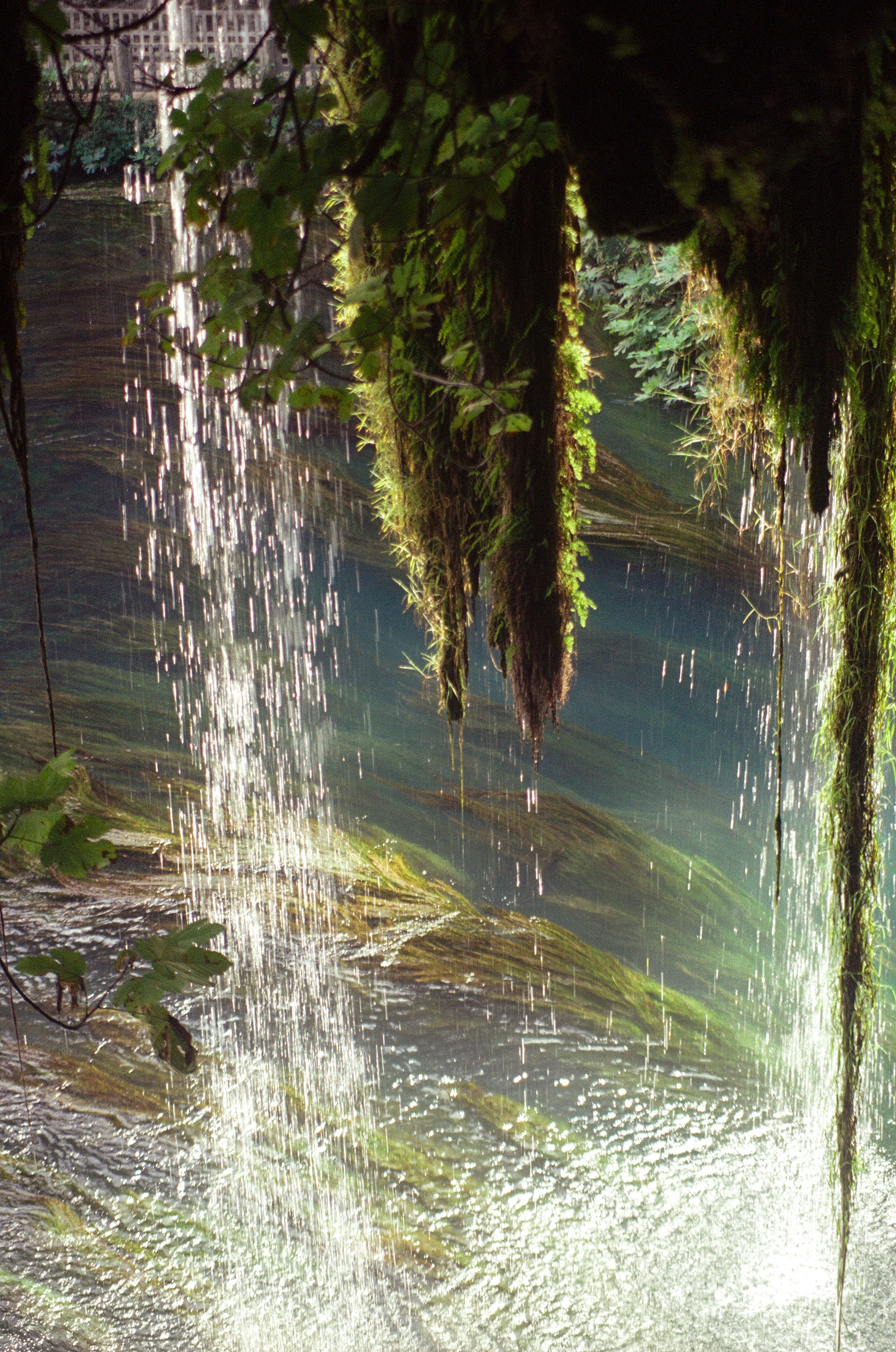 A magical view from behind a cascading waterfall, with sreams of water glistening in the morning light over mossy rocks and a rushing stream. 