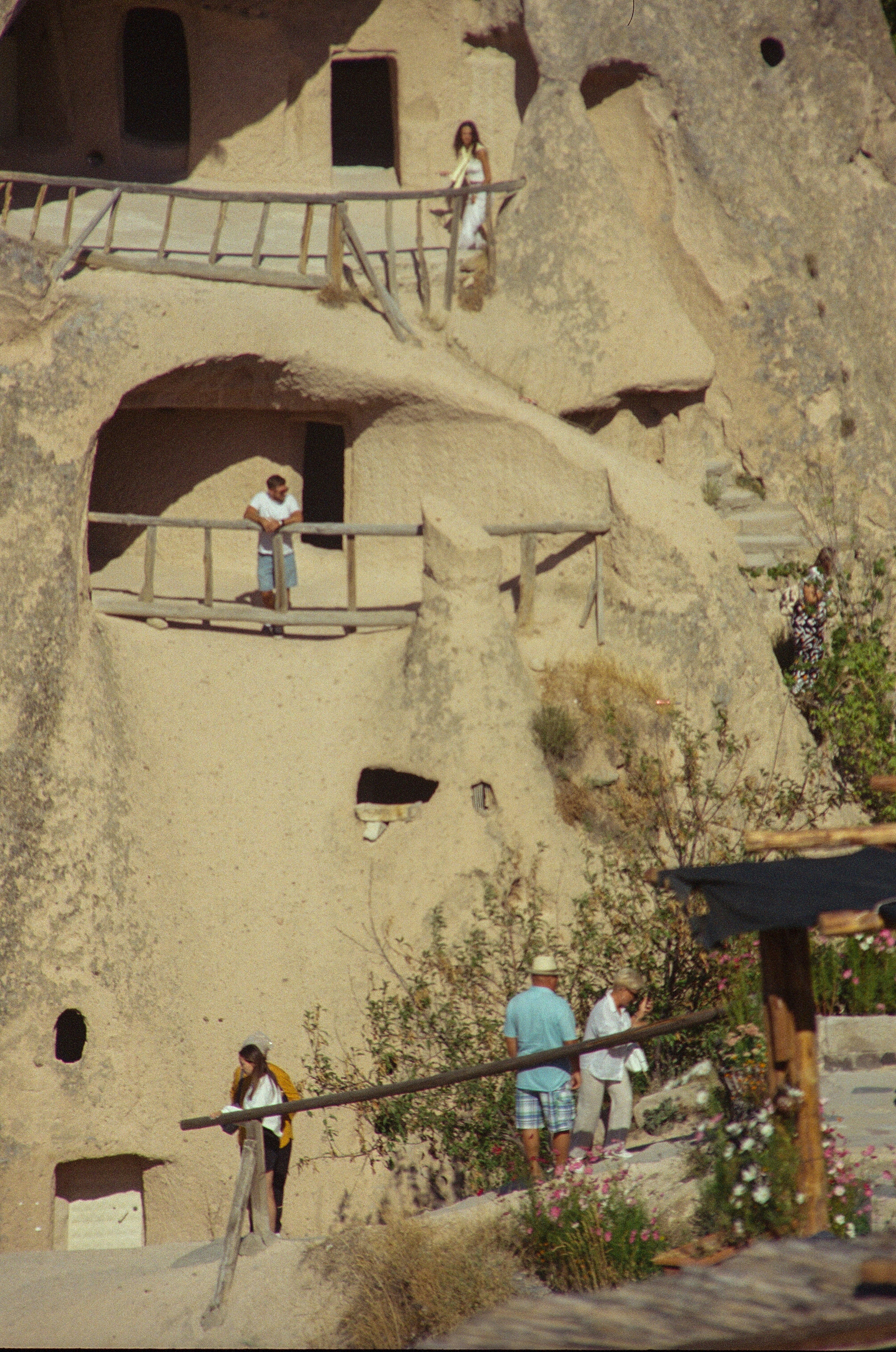 Organized Tours