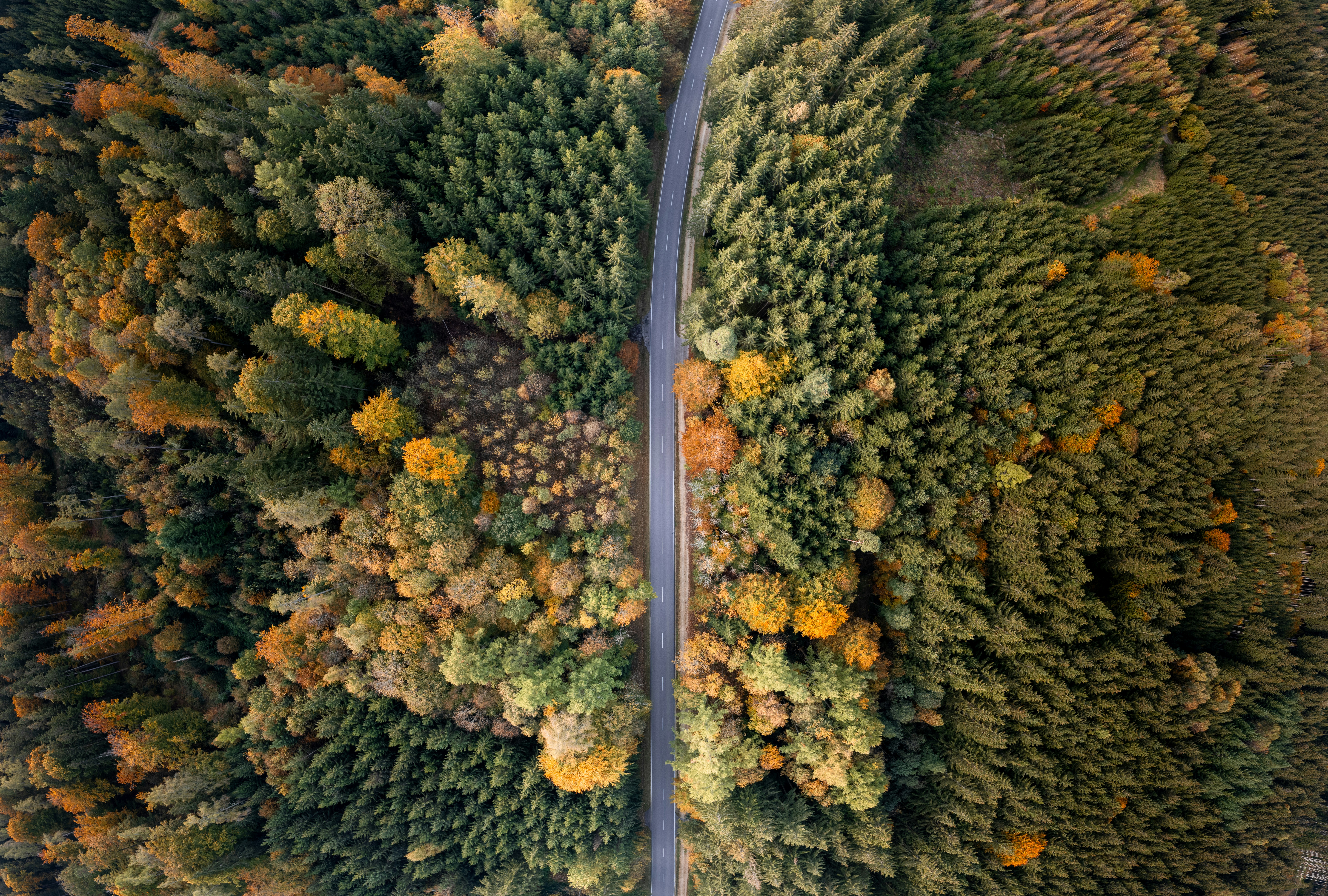 Aerial view of a road through a colorful autumn forest