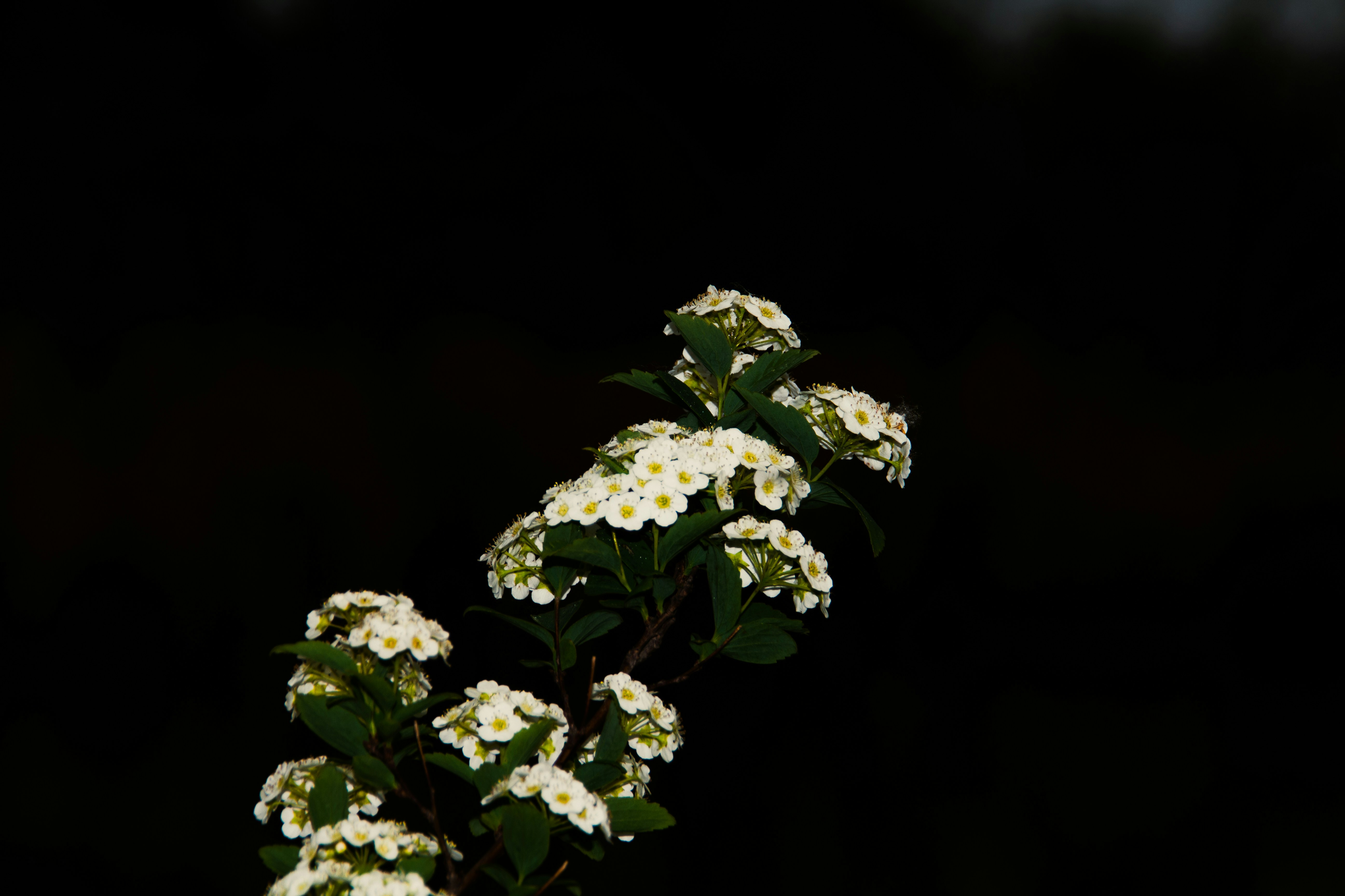 Photo by ximiaozhe