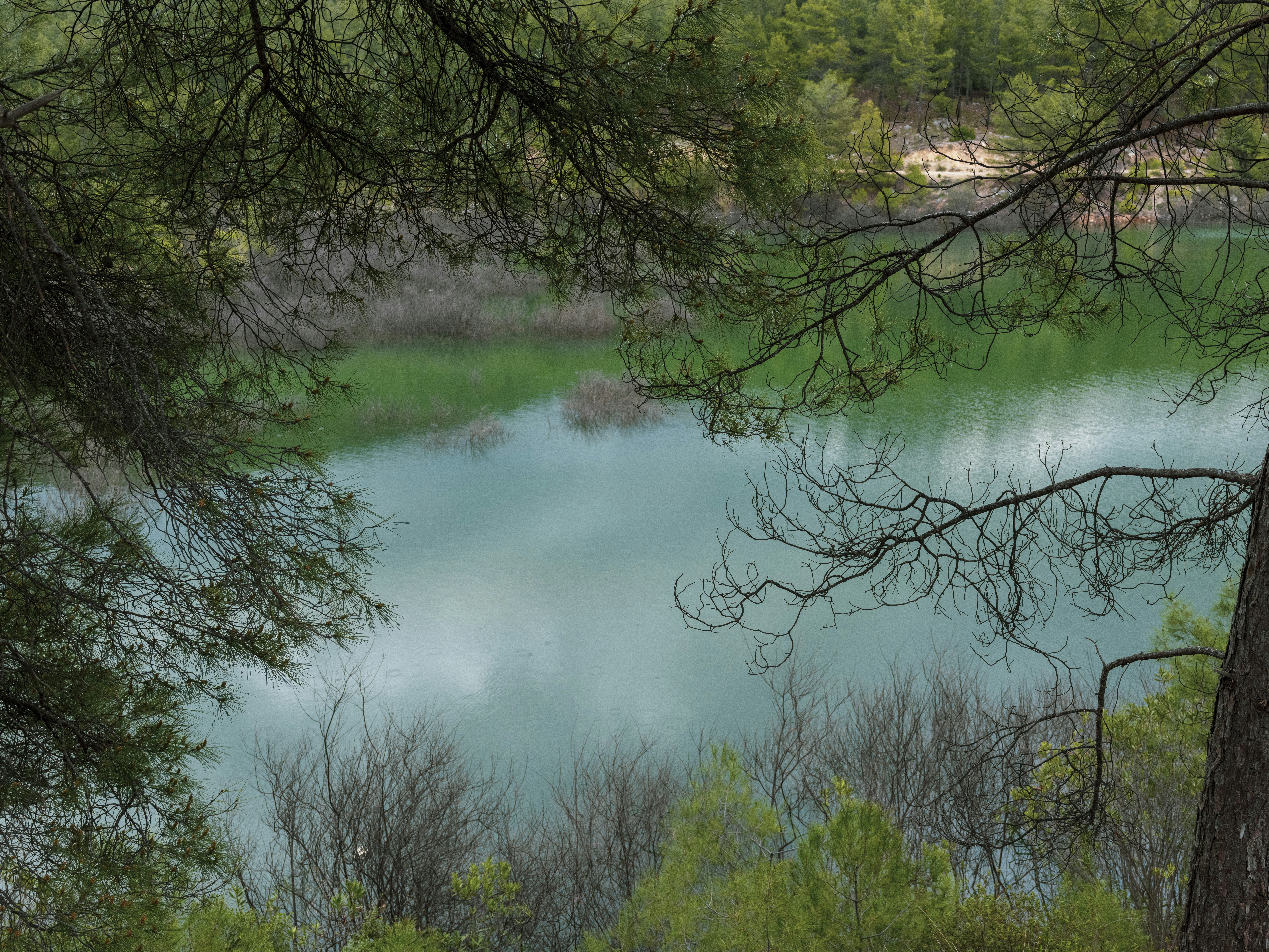Oak Creek Park