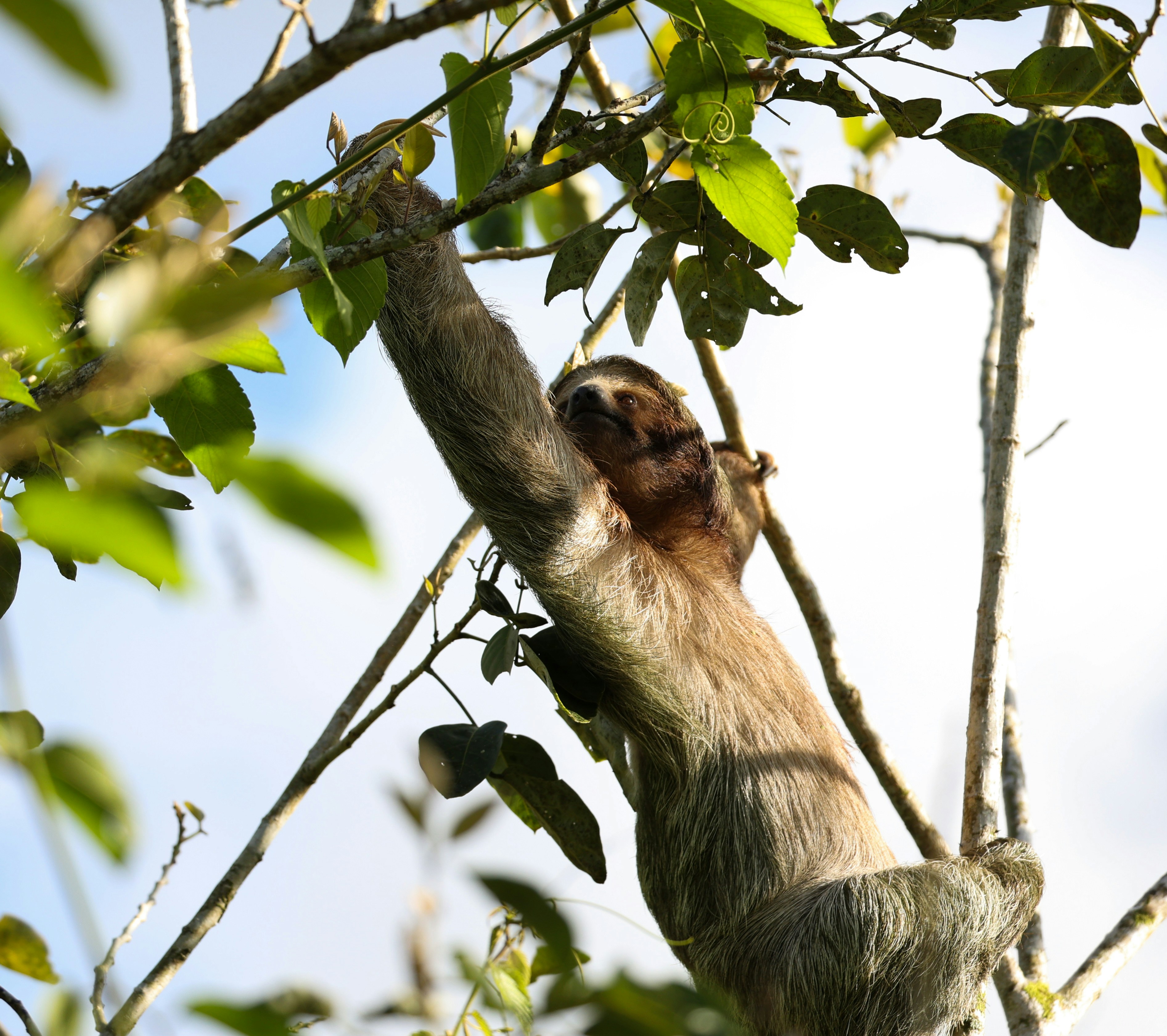 Costa Rica tourism nature