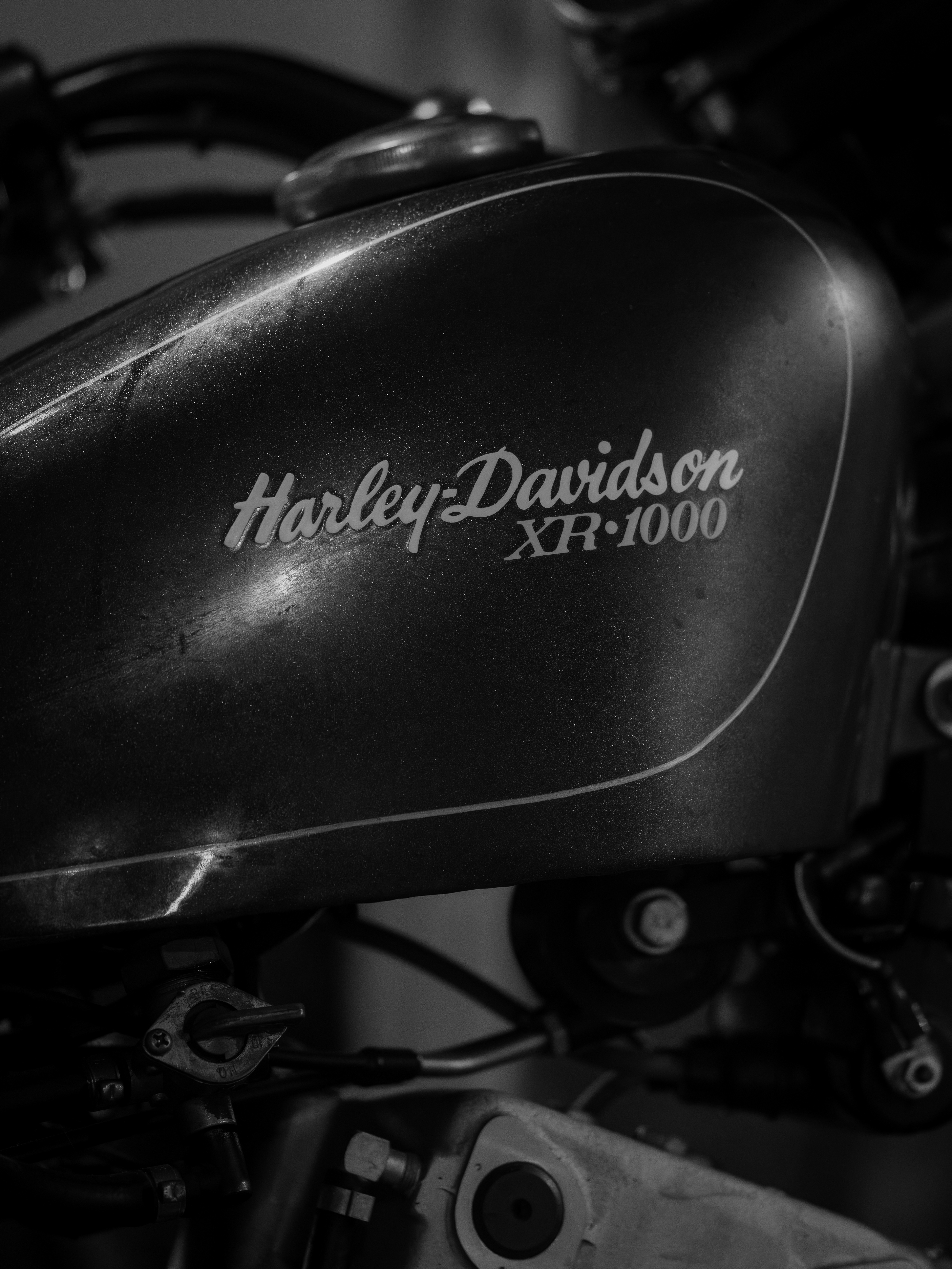 Photo by haberdoedas
