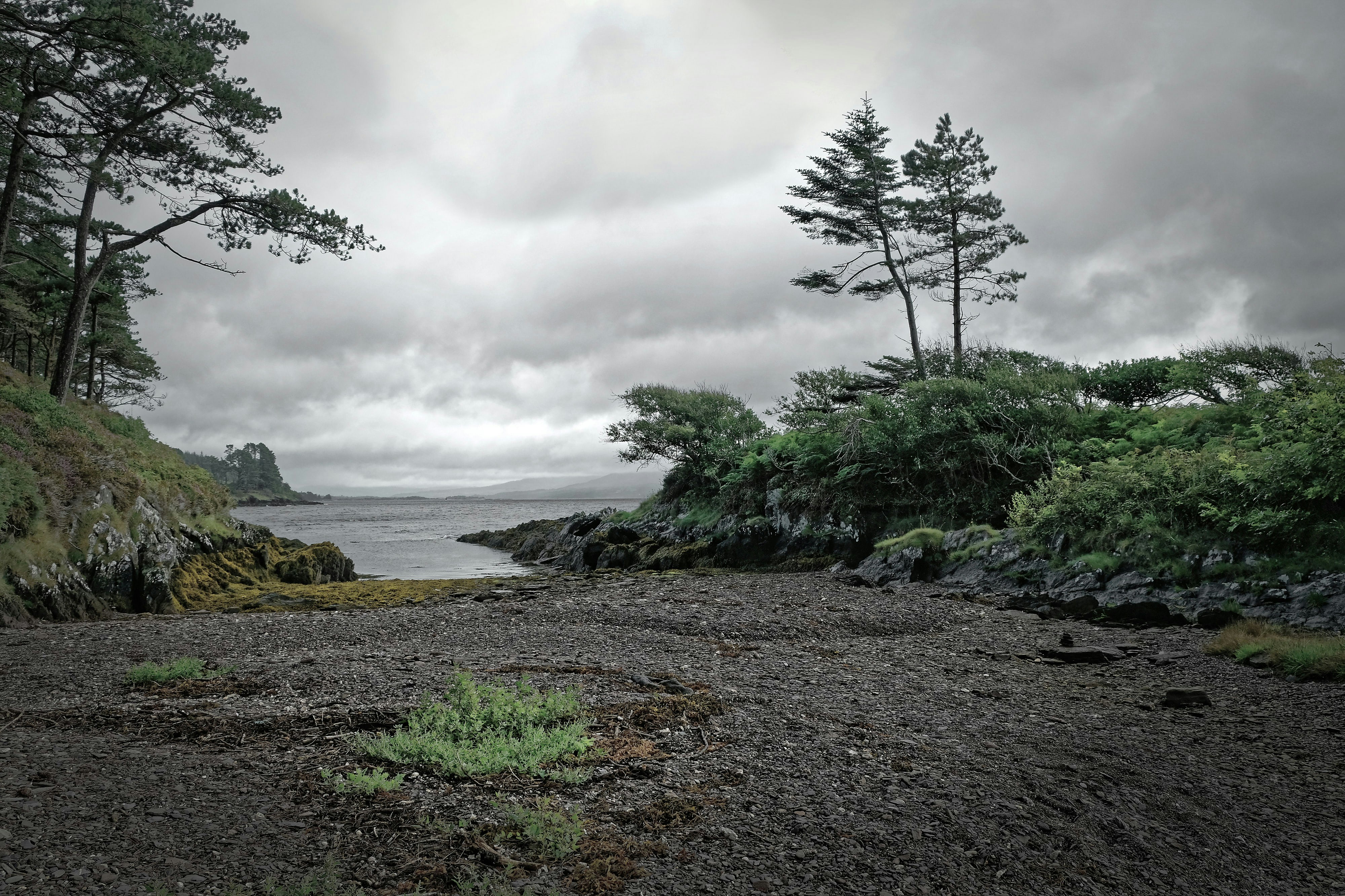 Photo by hswalsh