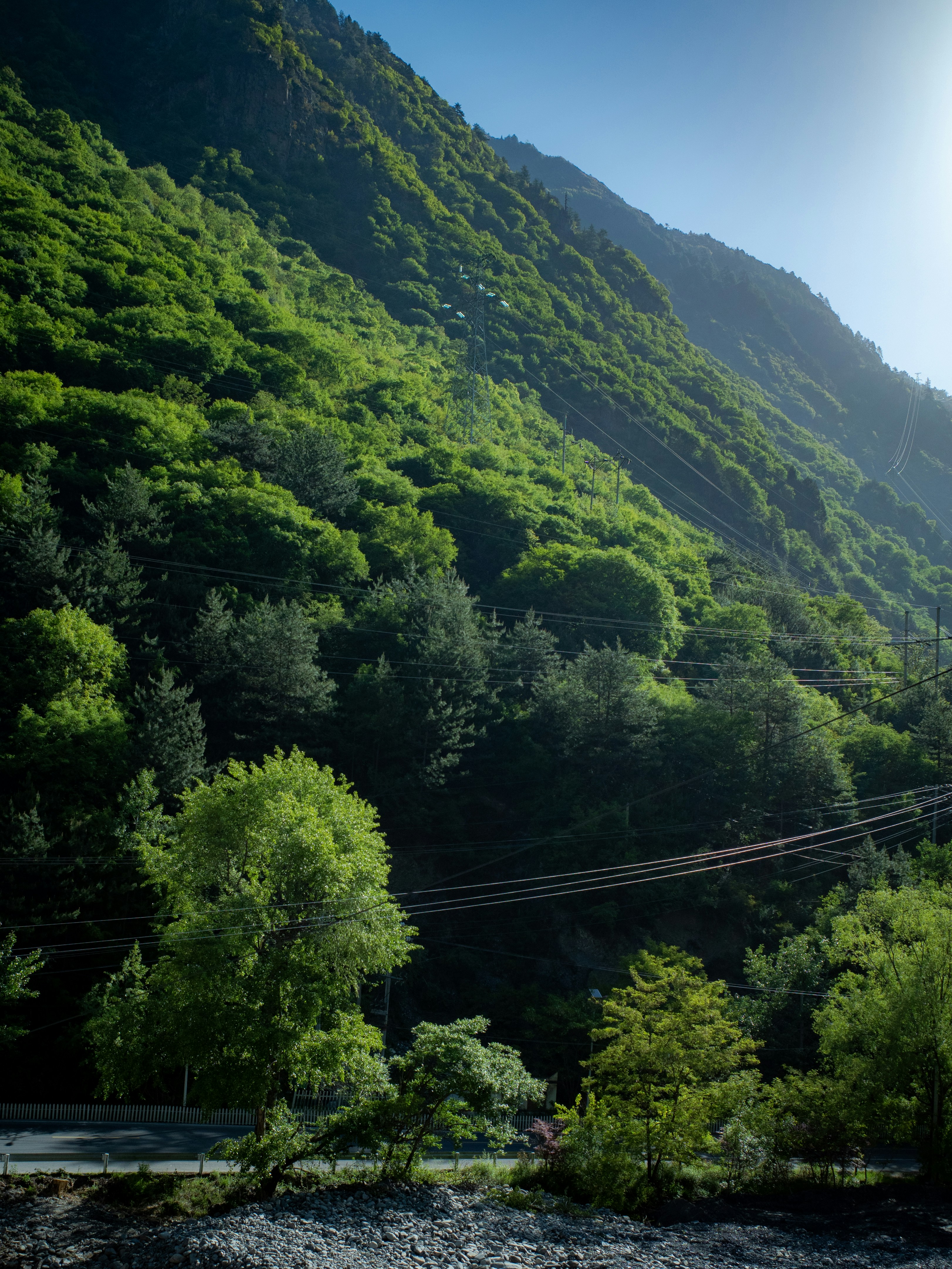 Lush green trees cover a steep mountain slope.