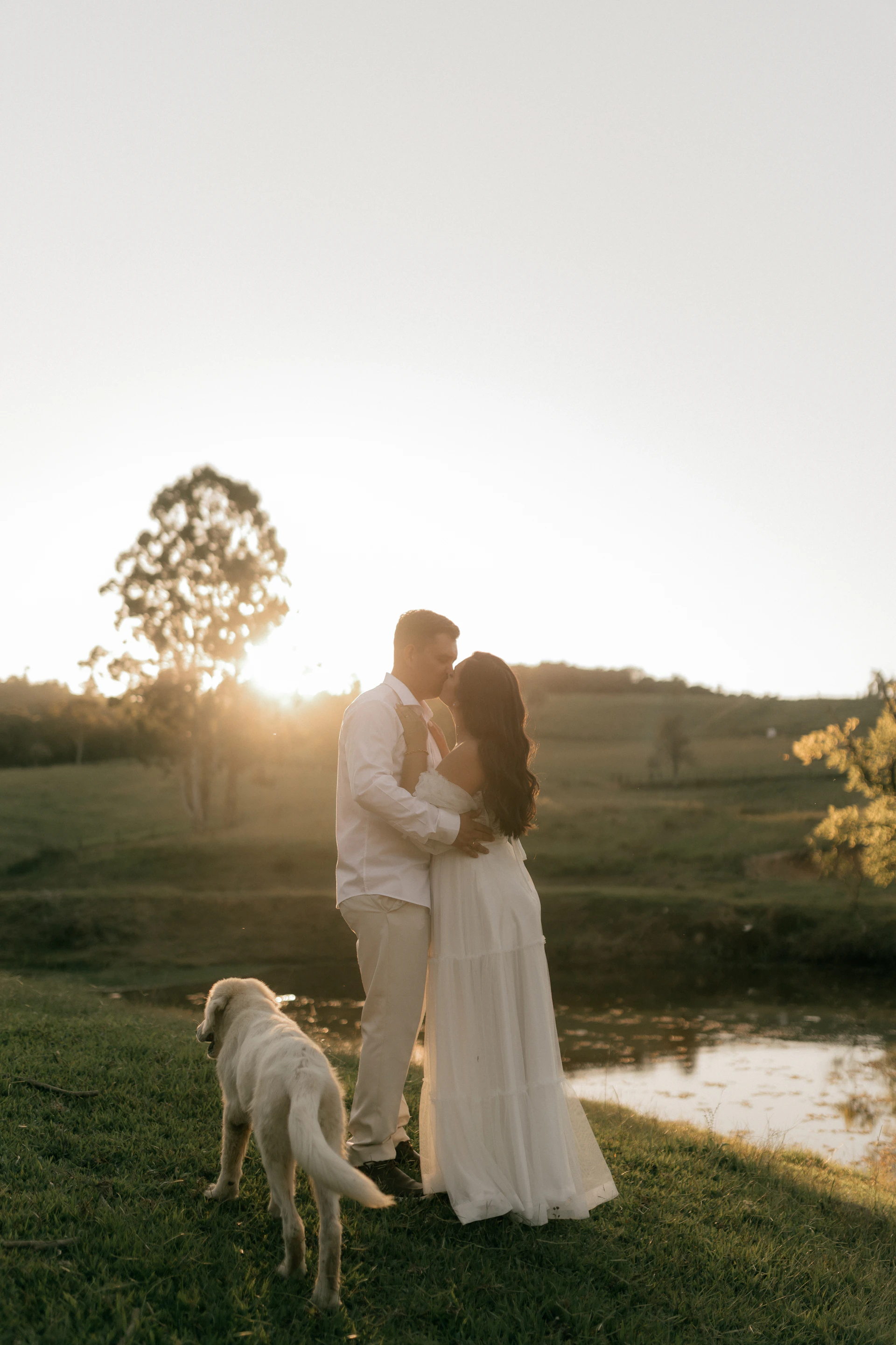 Couple kissing in a field with a dog at sunset.