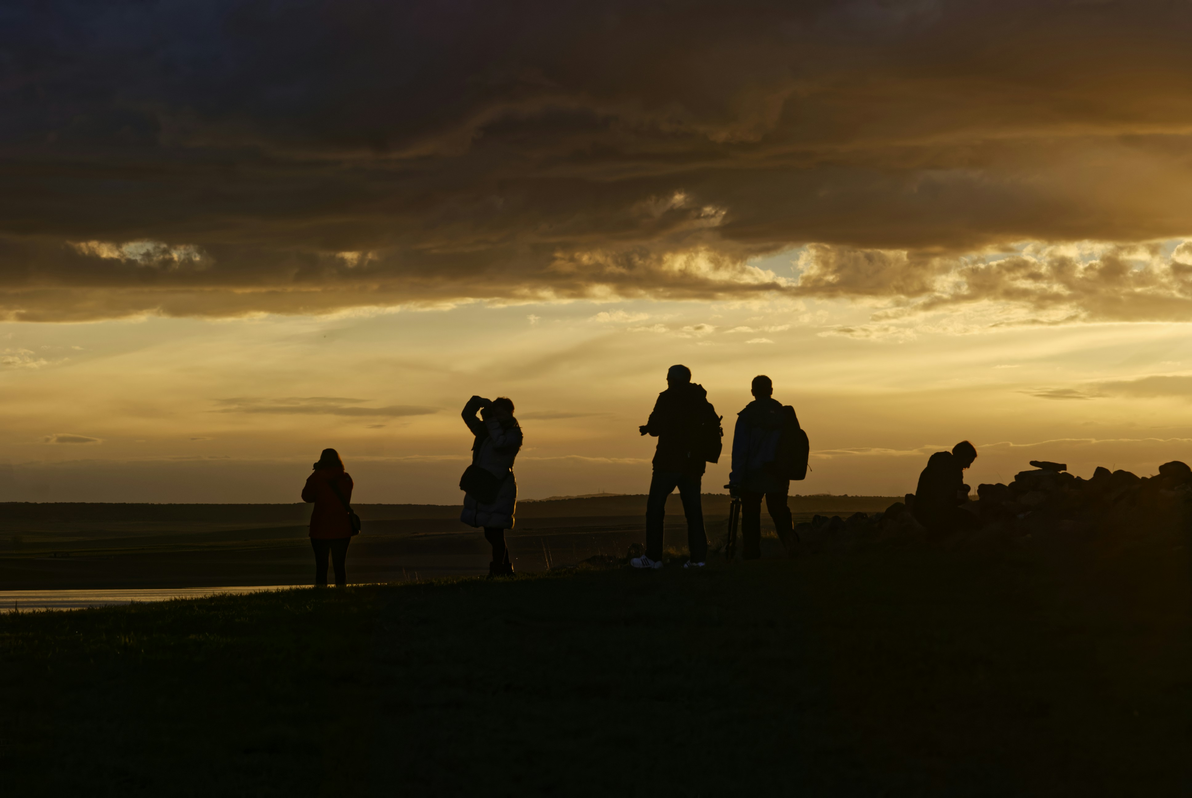 Expat Guide to Living in Mount Pleasant (2026)