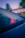 A small pink octopus sits on a car dashboard.