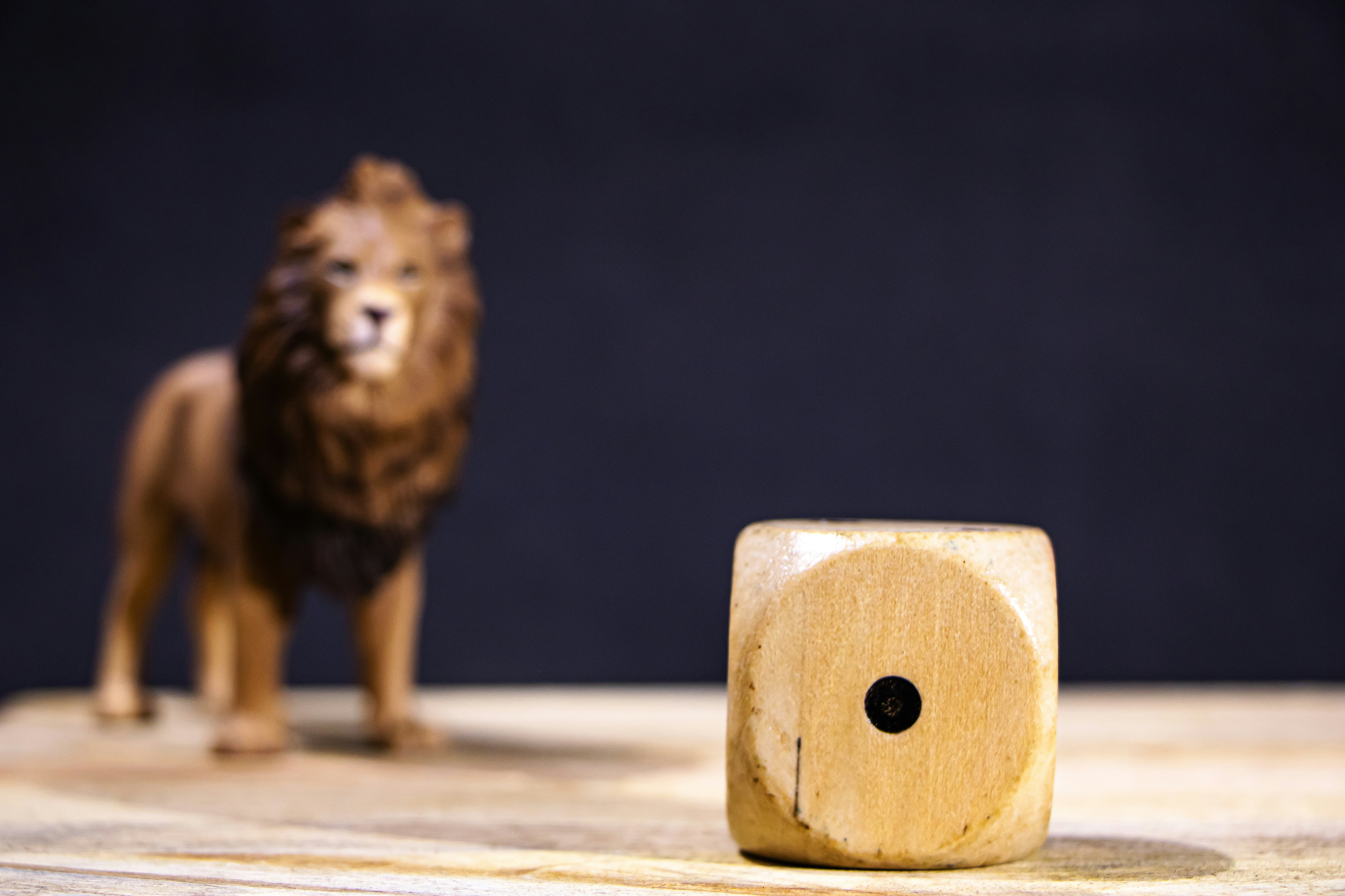Wooden die in front of a lion figurine