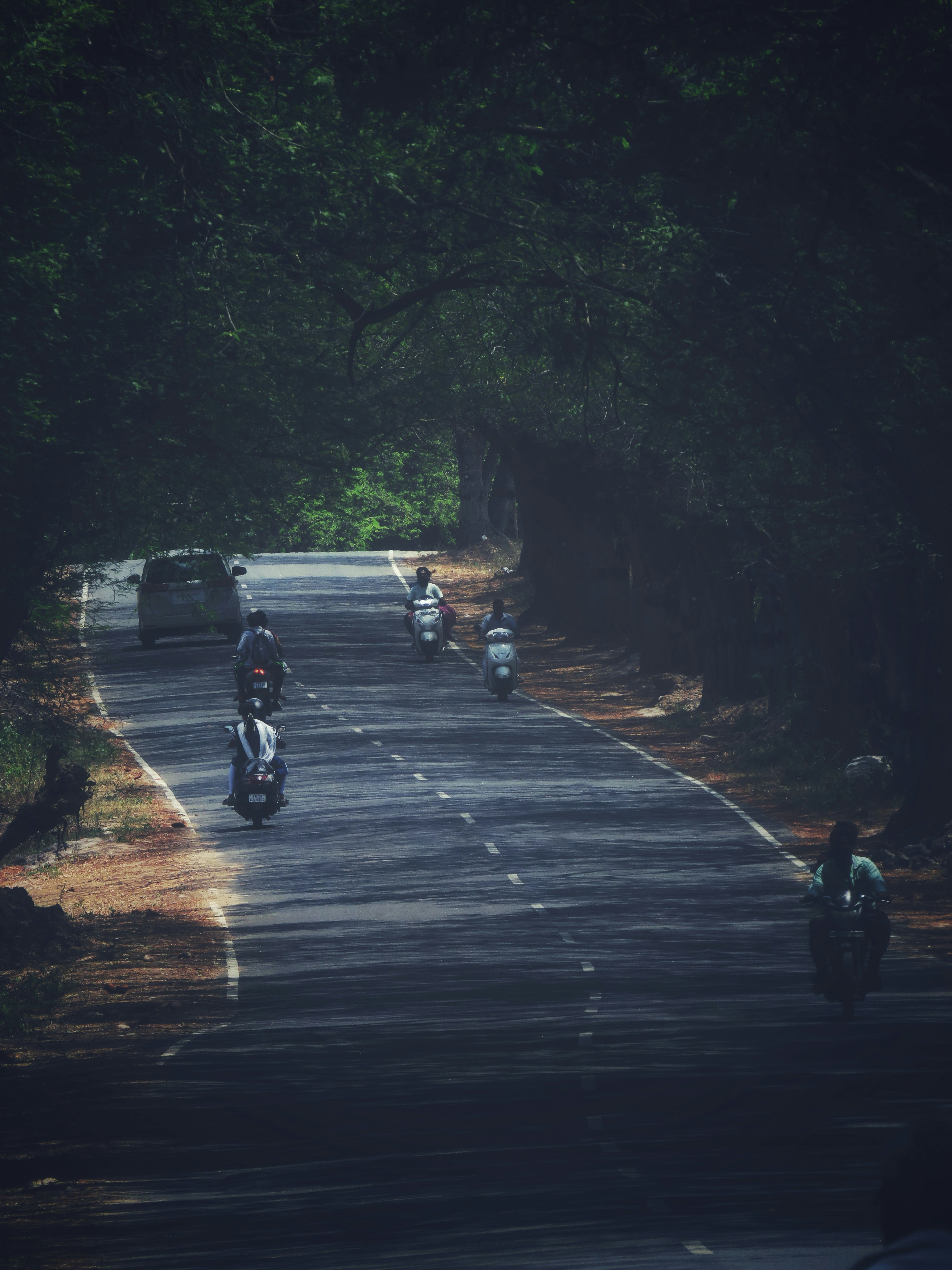 Photo by alphontrio