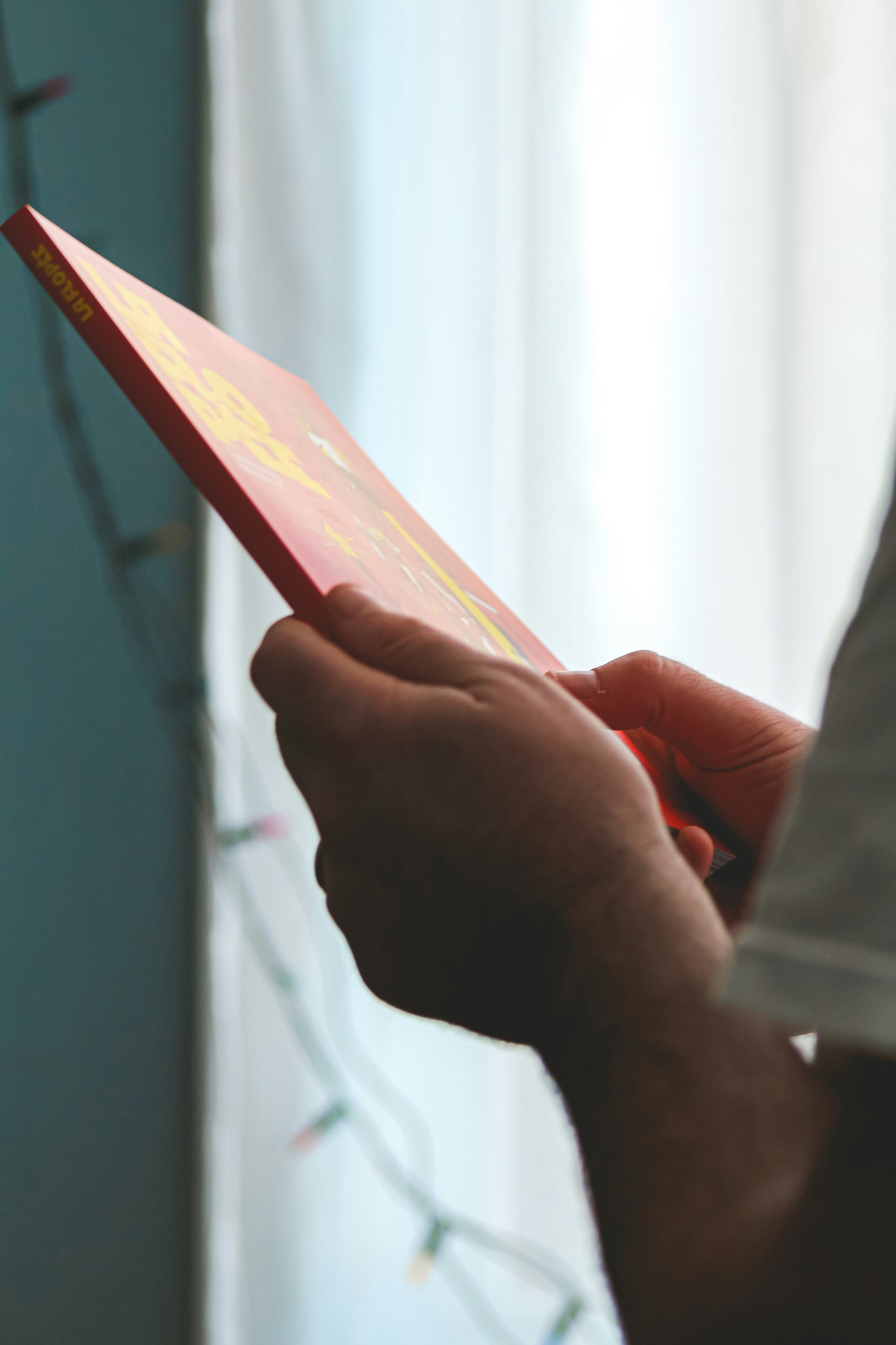 Person holding a red book with yellow cover design.
