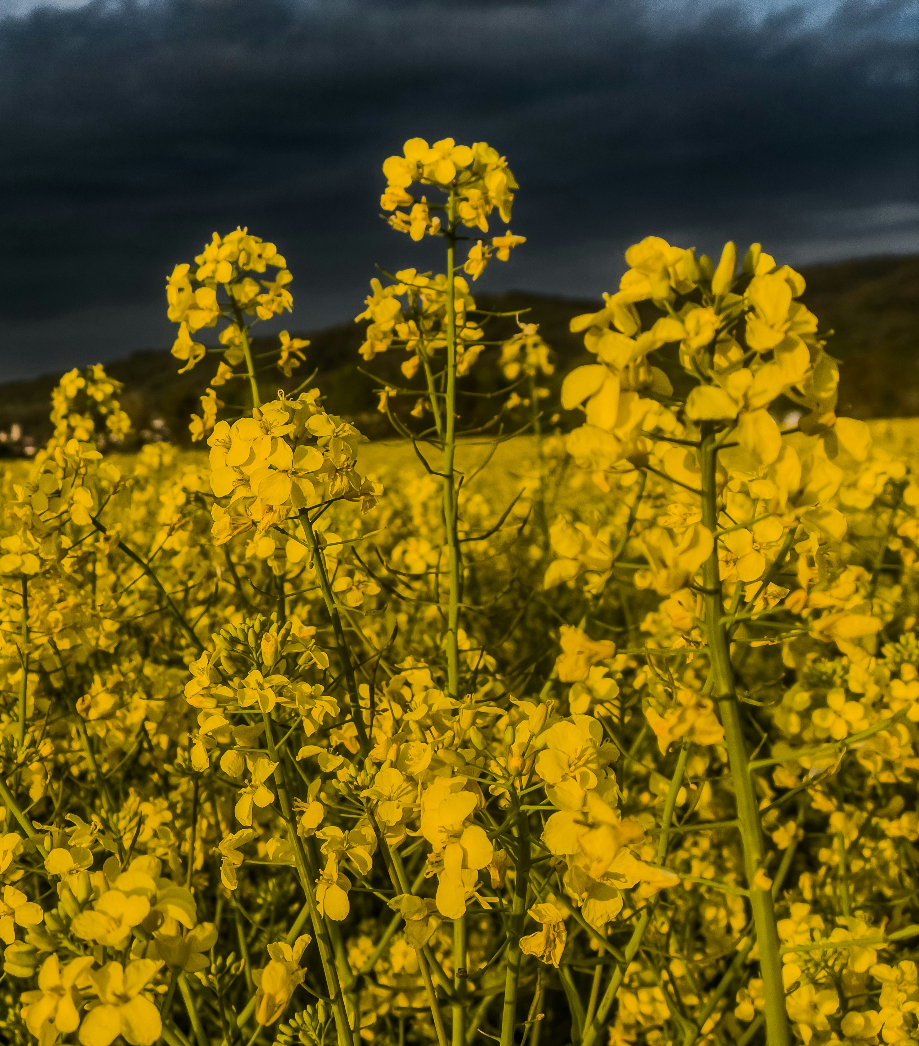 Photo by hdbernd
