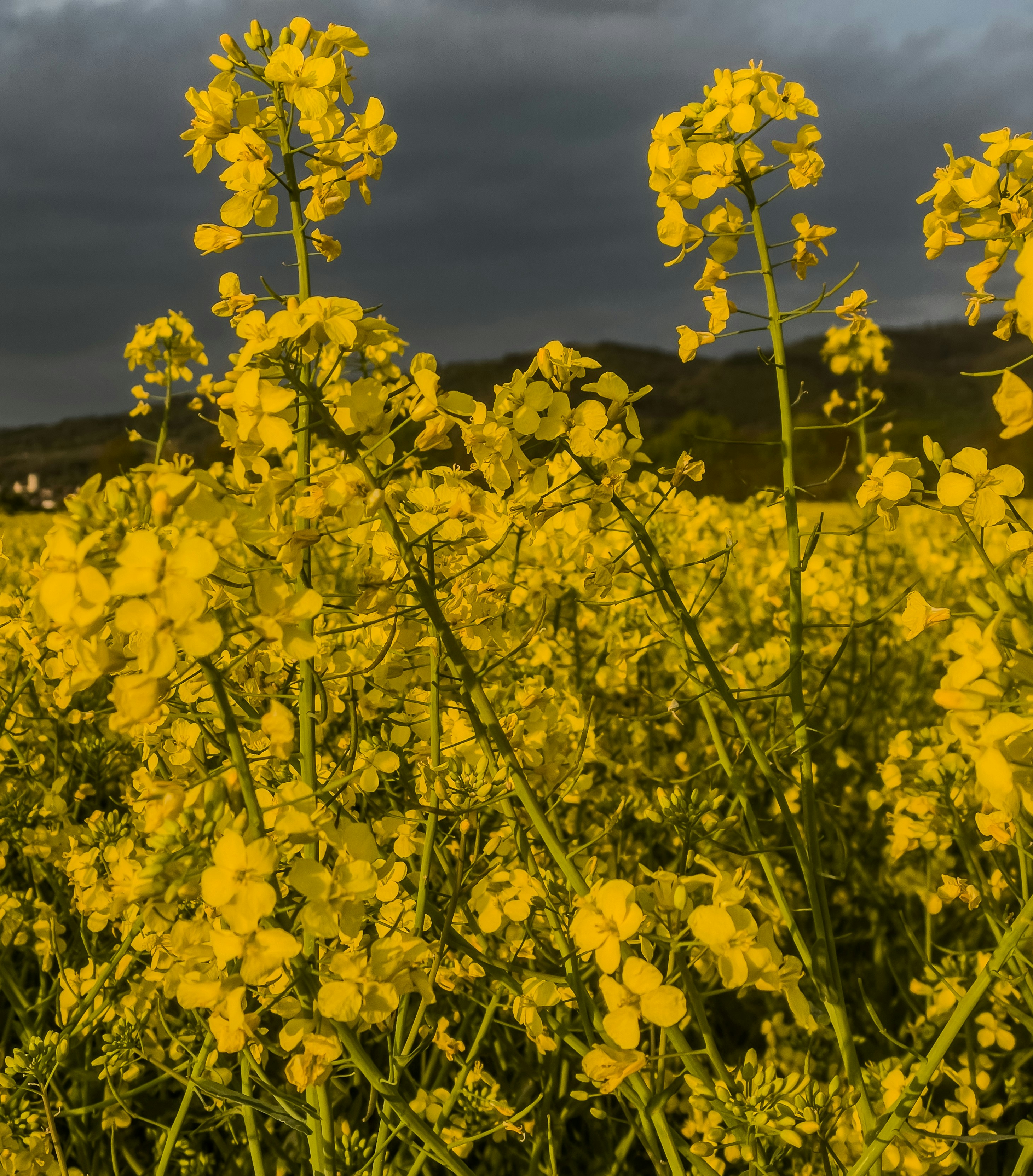 Photo by hdbernd