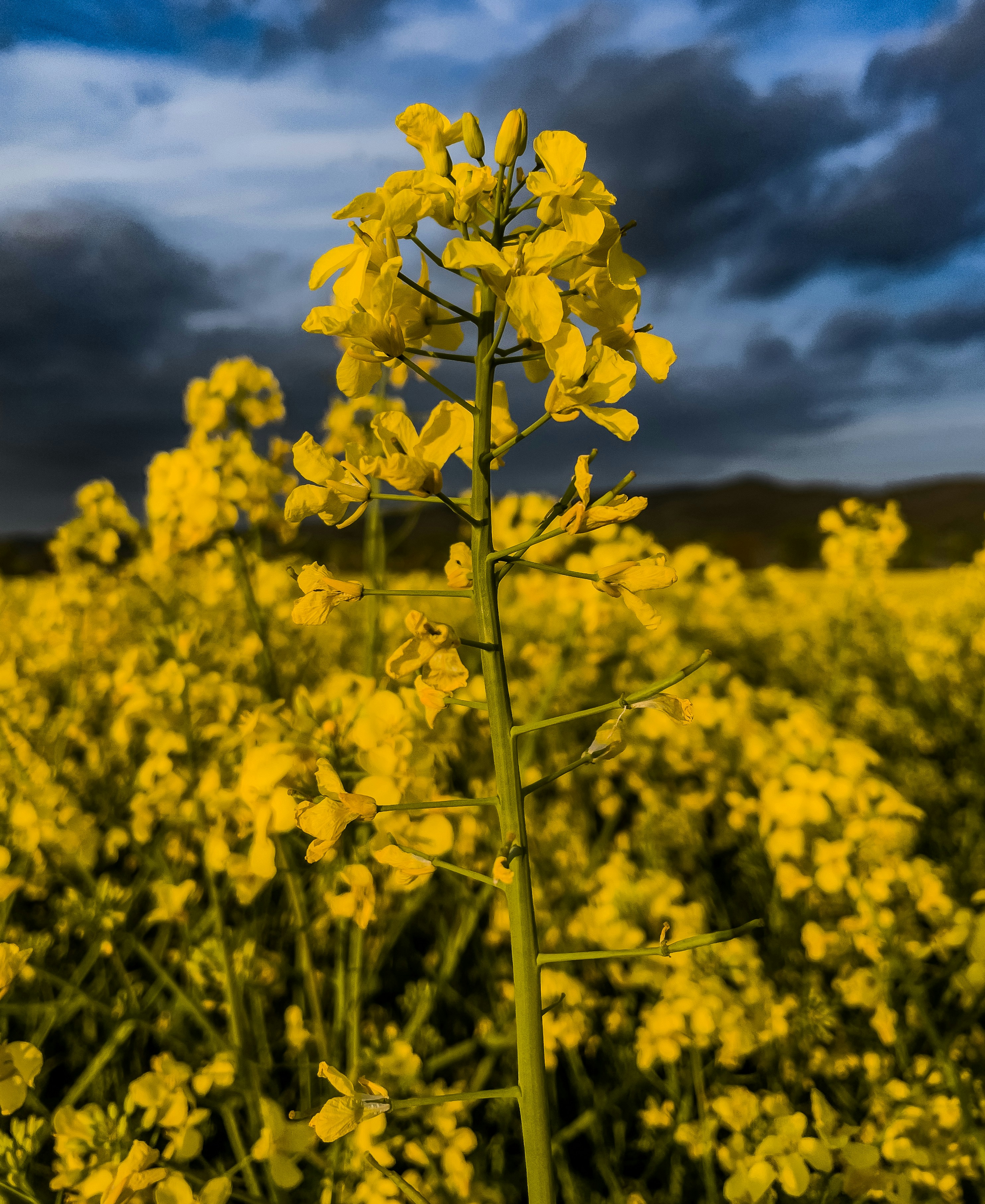 Photo by hdbernd