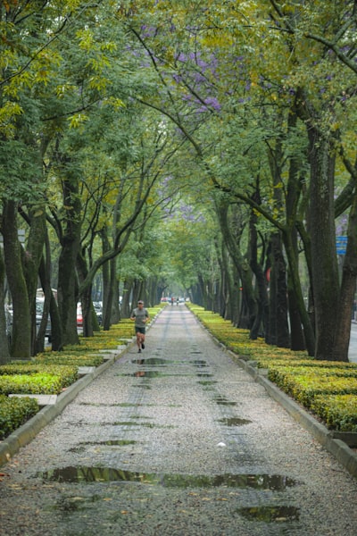 Mexico City in March