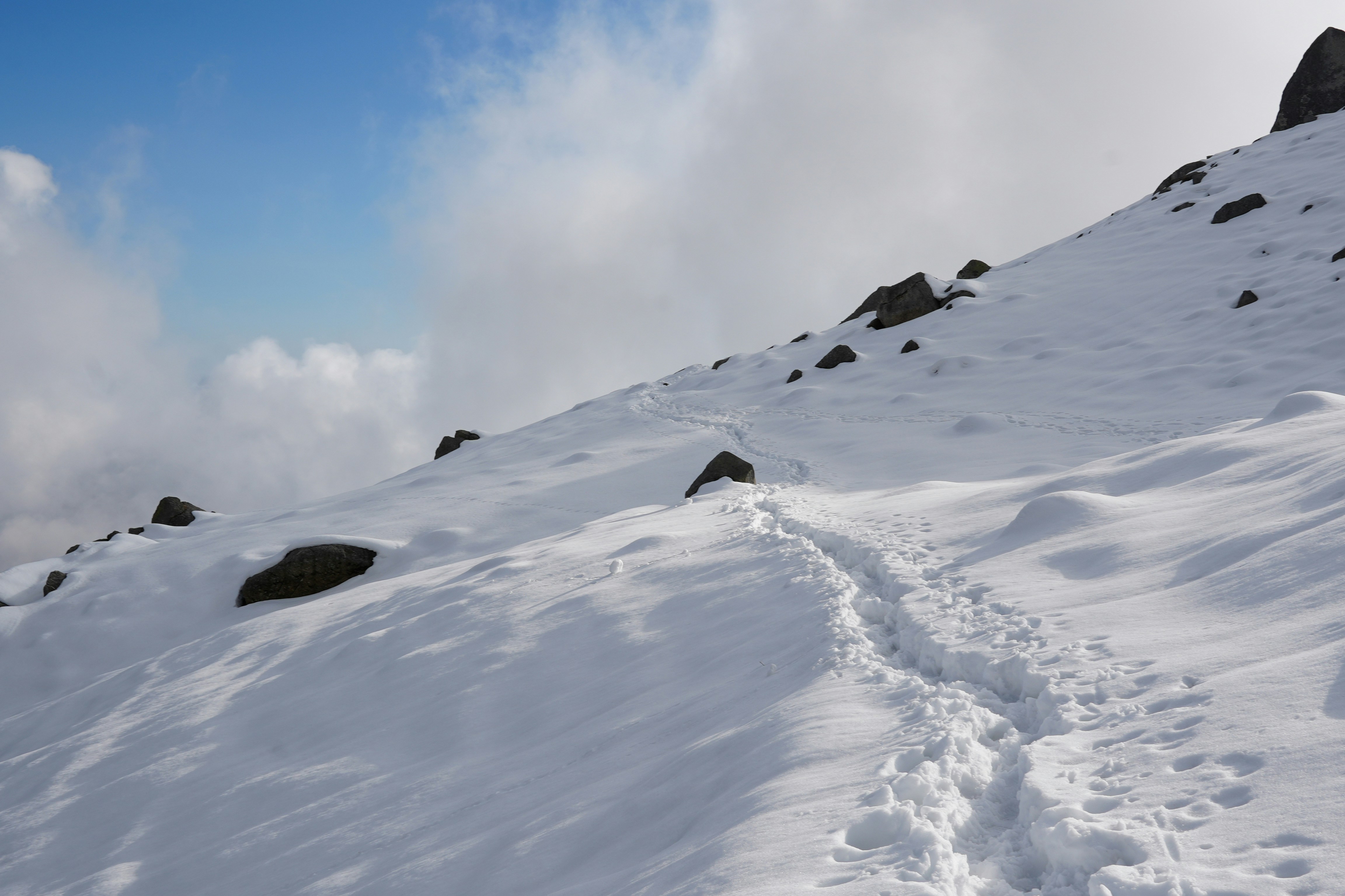 Des empreintes de pas mènent sur une pente enneigée de montagne