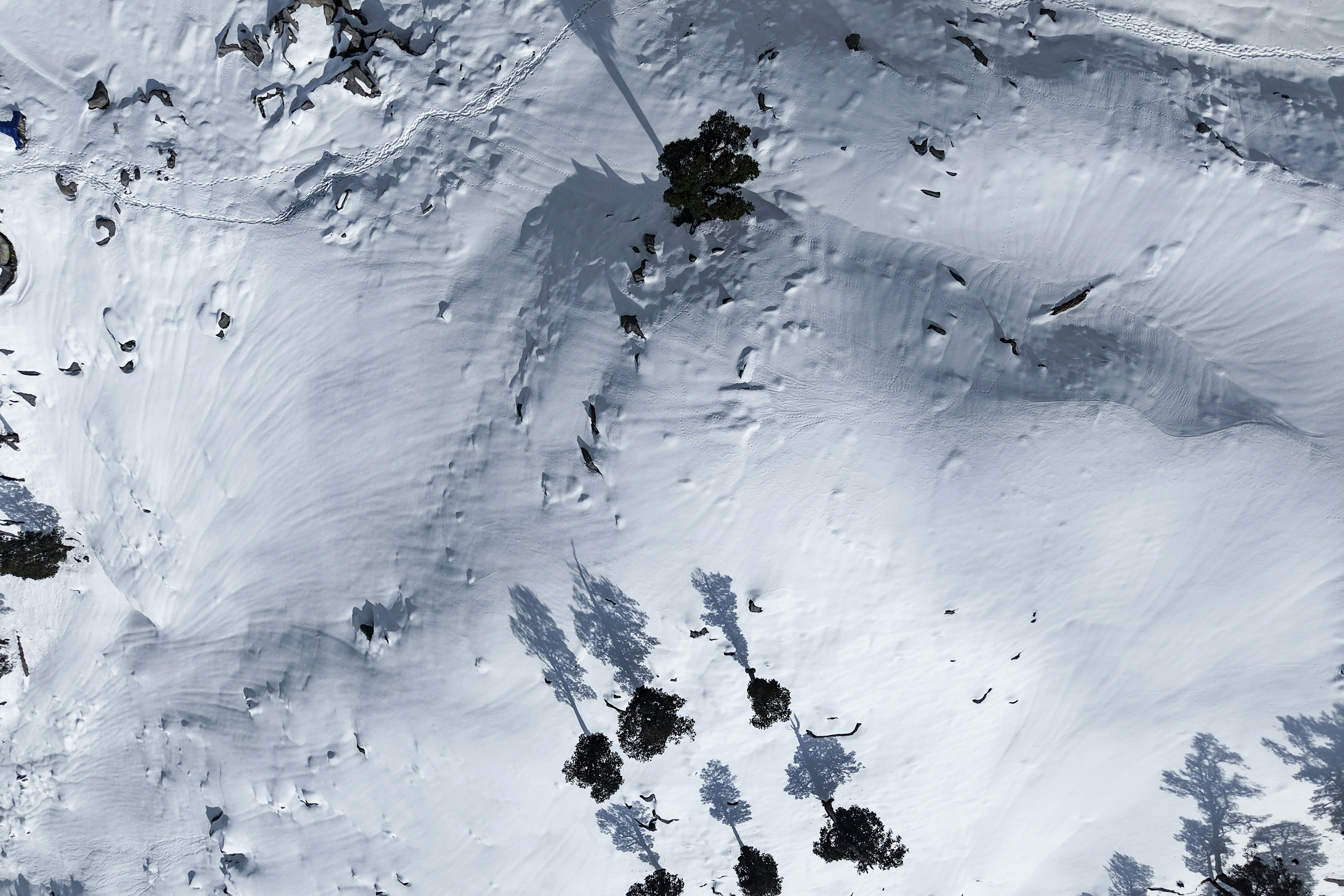 Pente enneigée de montagne avec des arbres épars et des ombres.