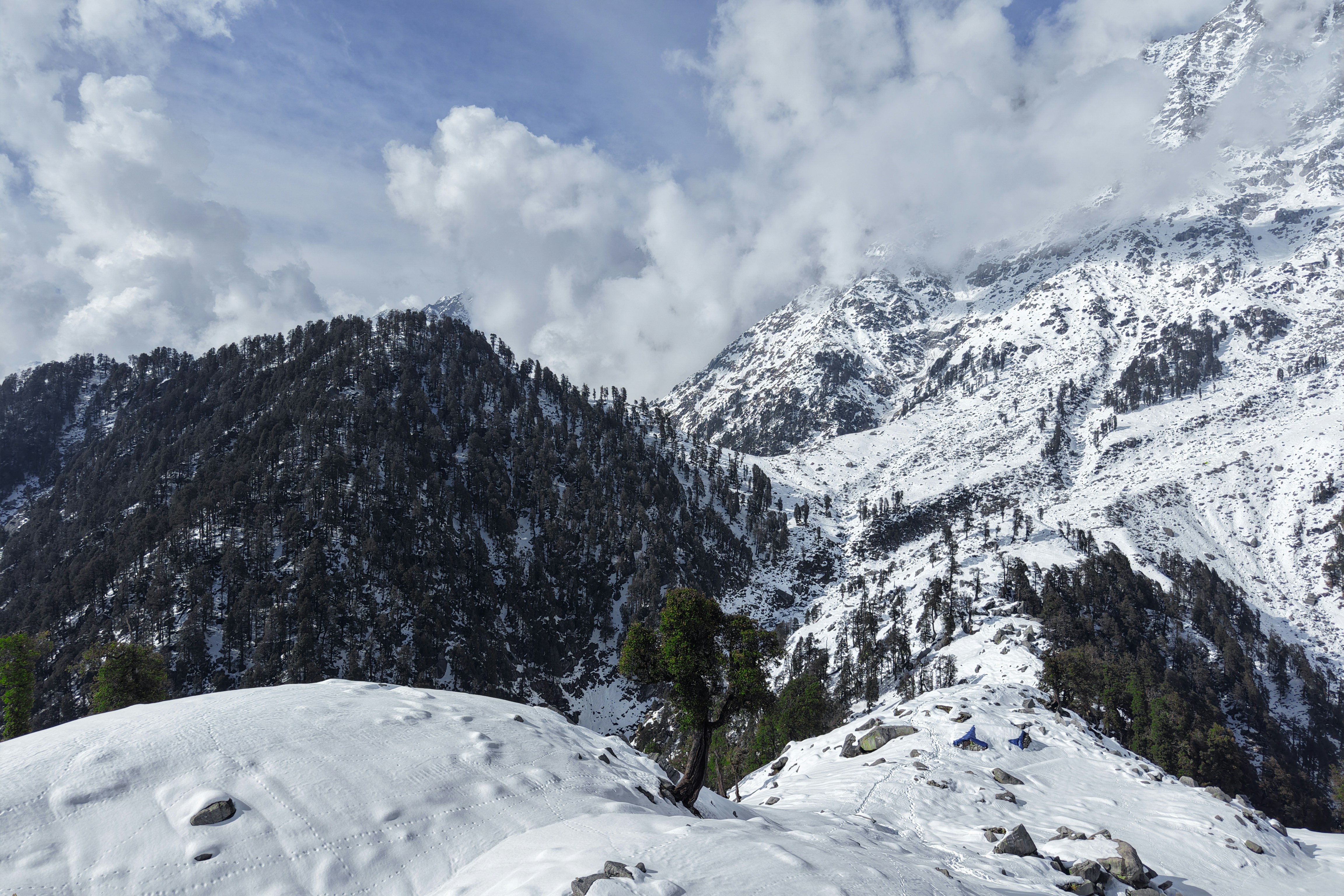 Montagnes enneigées avec des pins sous un ciel nuageux