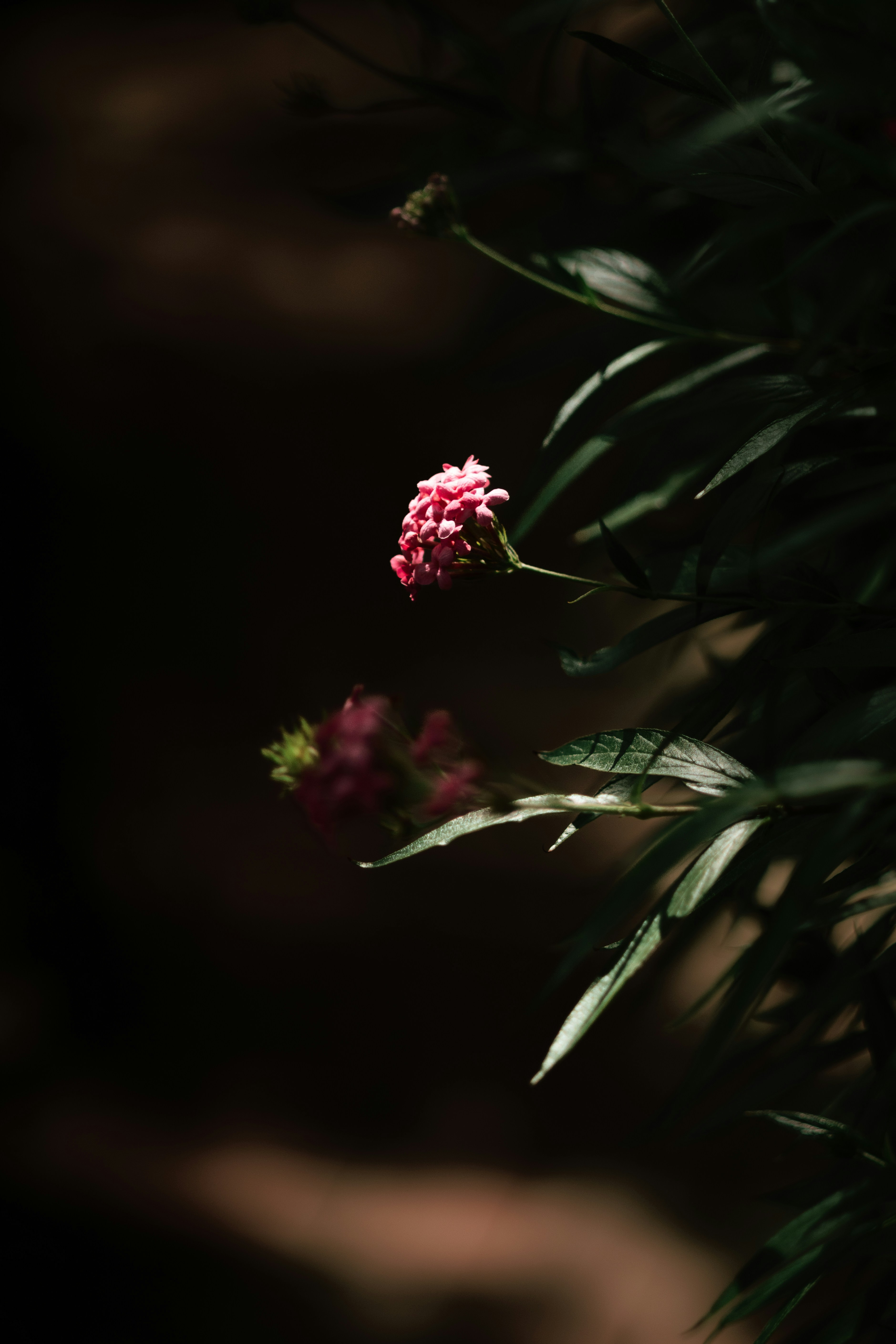 Photo by setsj