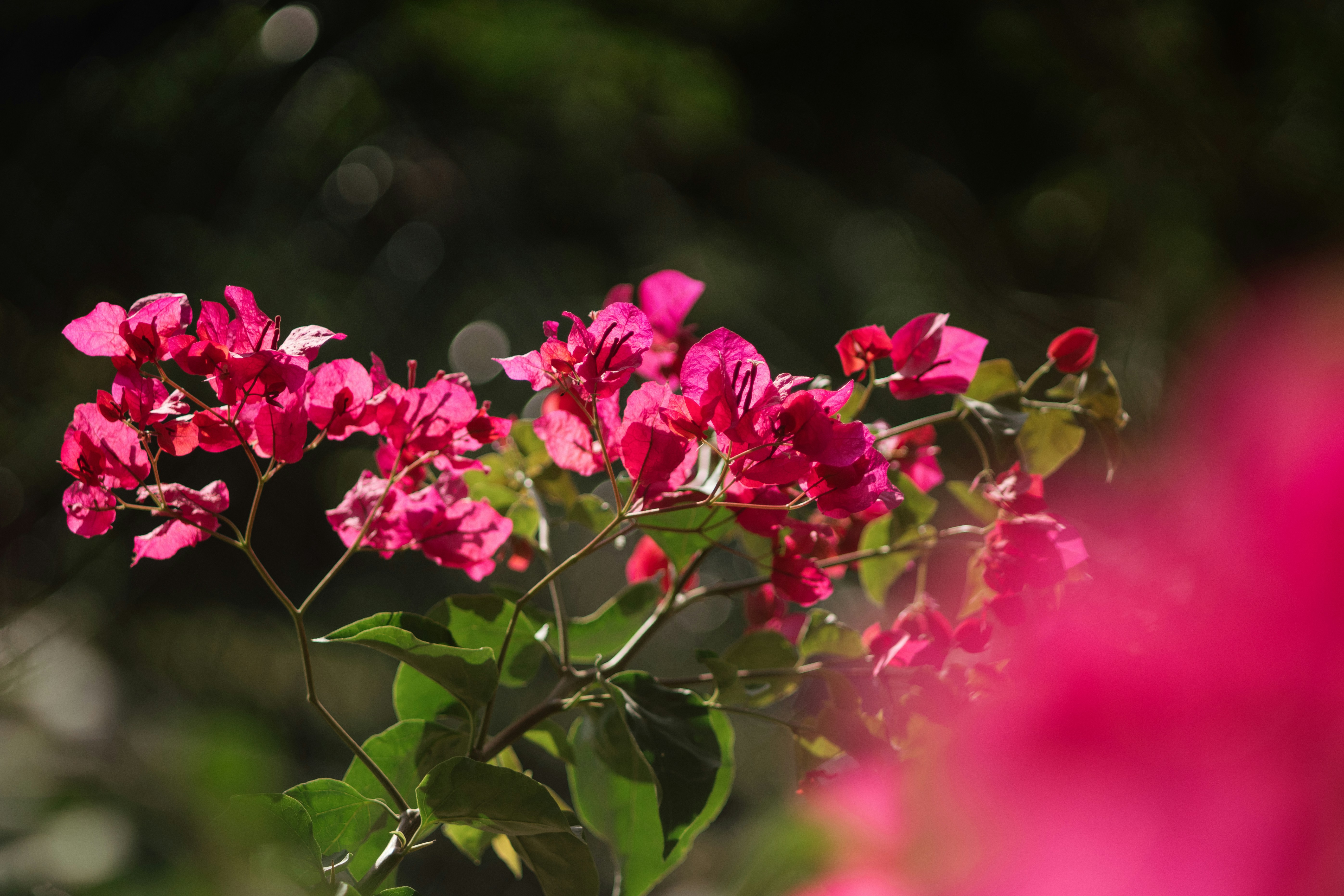 Photo by setsj