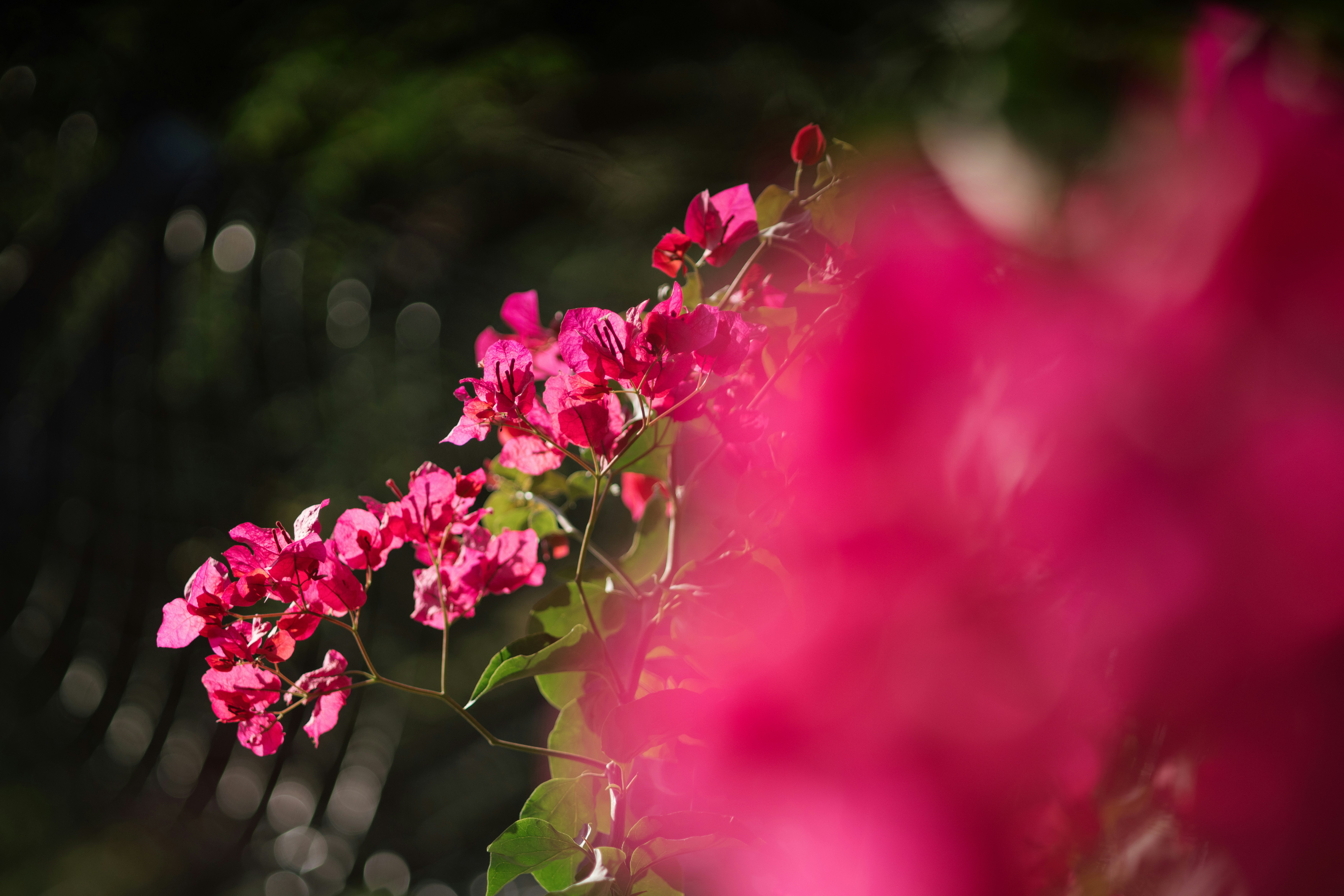 Photo by setsj