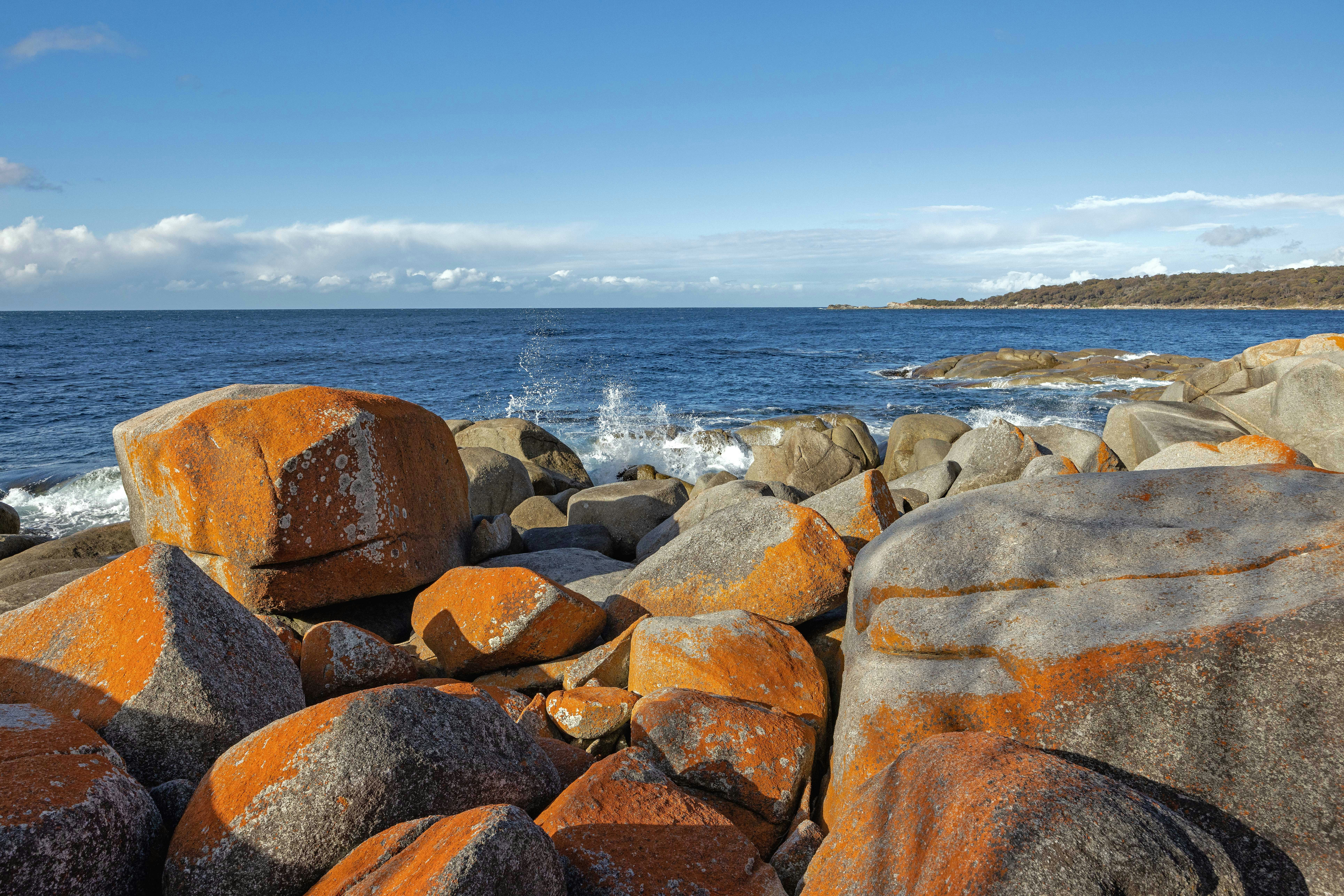 Orange lichen on rocks by the blue ocean