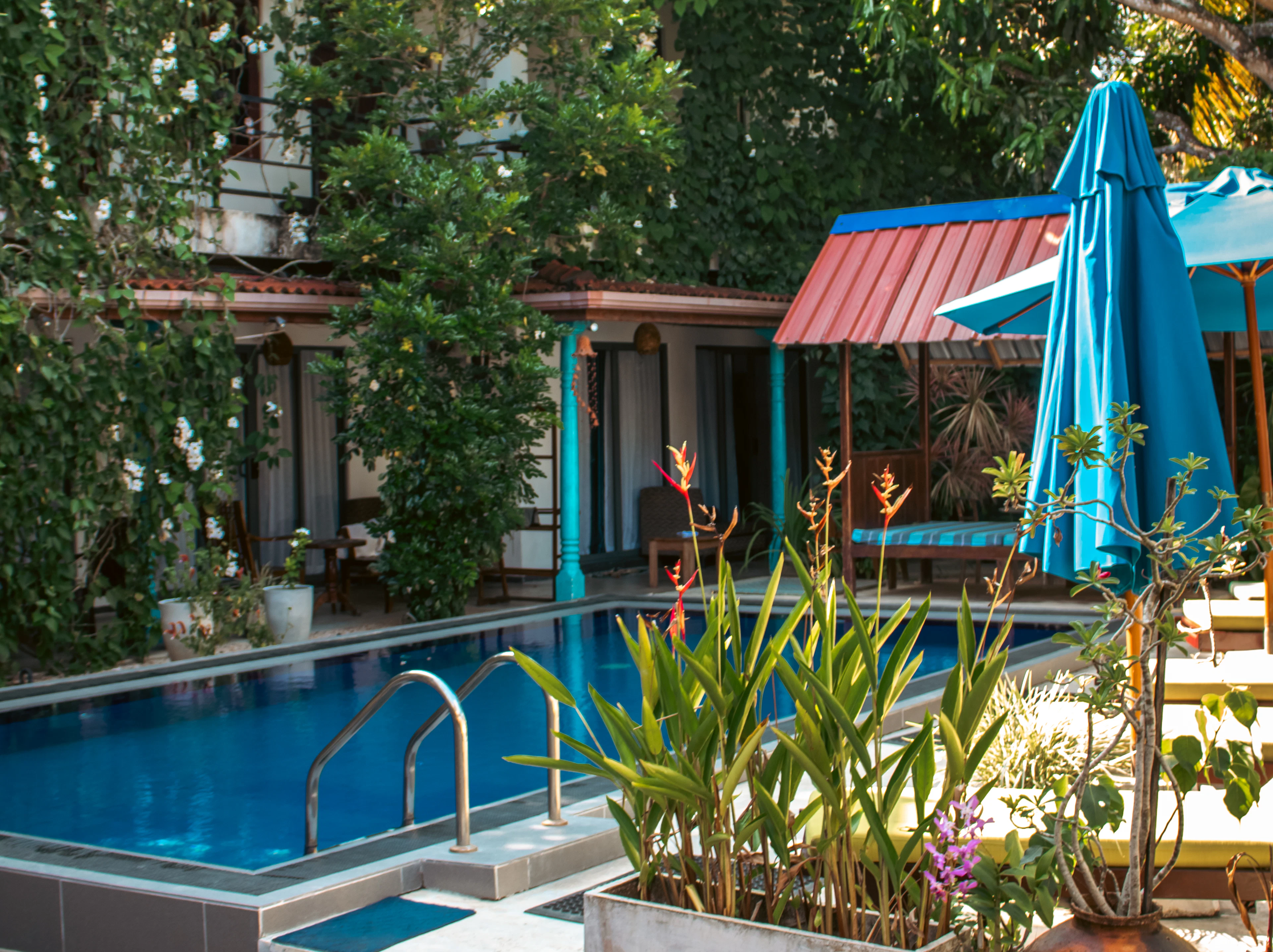 A small pool in a green tropical courtyard in Mirissa, Sri Lanka