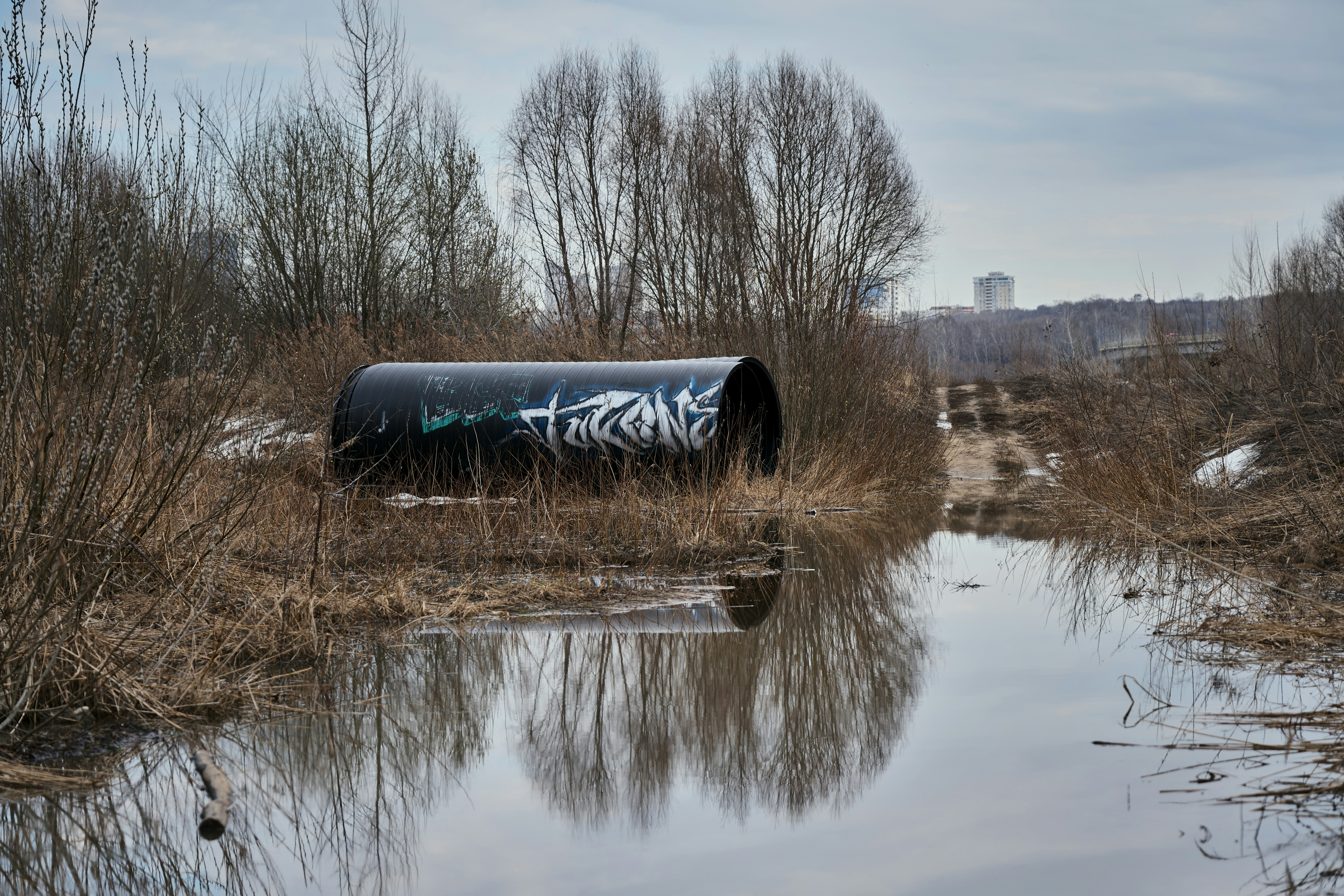 Un tuyau couvert de graffitis repose dans un fossé avec de l’eau.