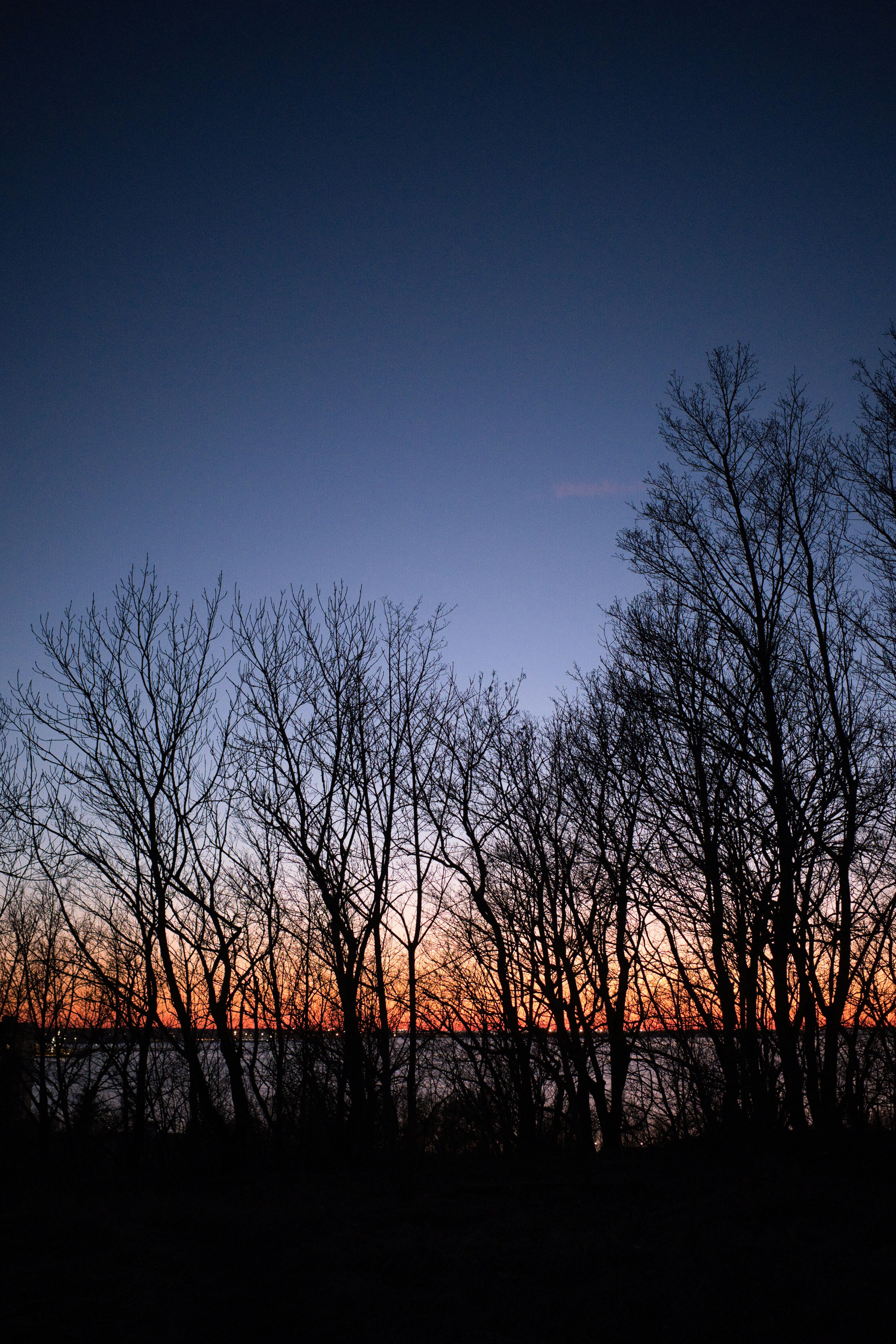 Vilsandi National Park: Bird Watching and Lighthouse Adventures