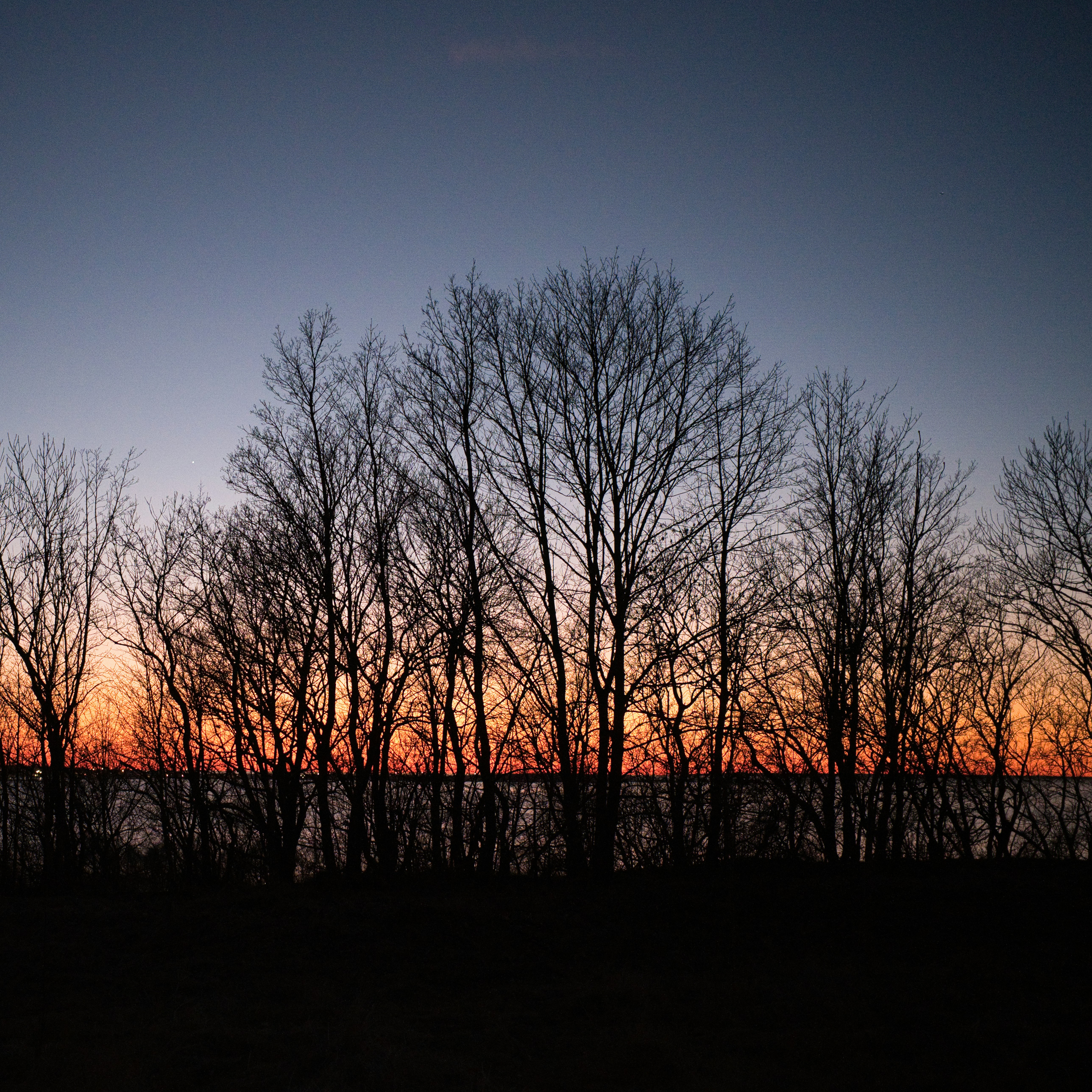 Árvores nuas se recortavam contra um céu colorido ao pôr do sol.