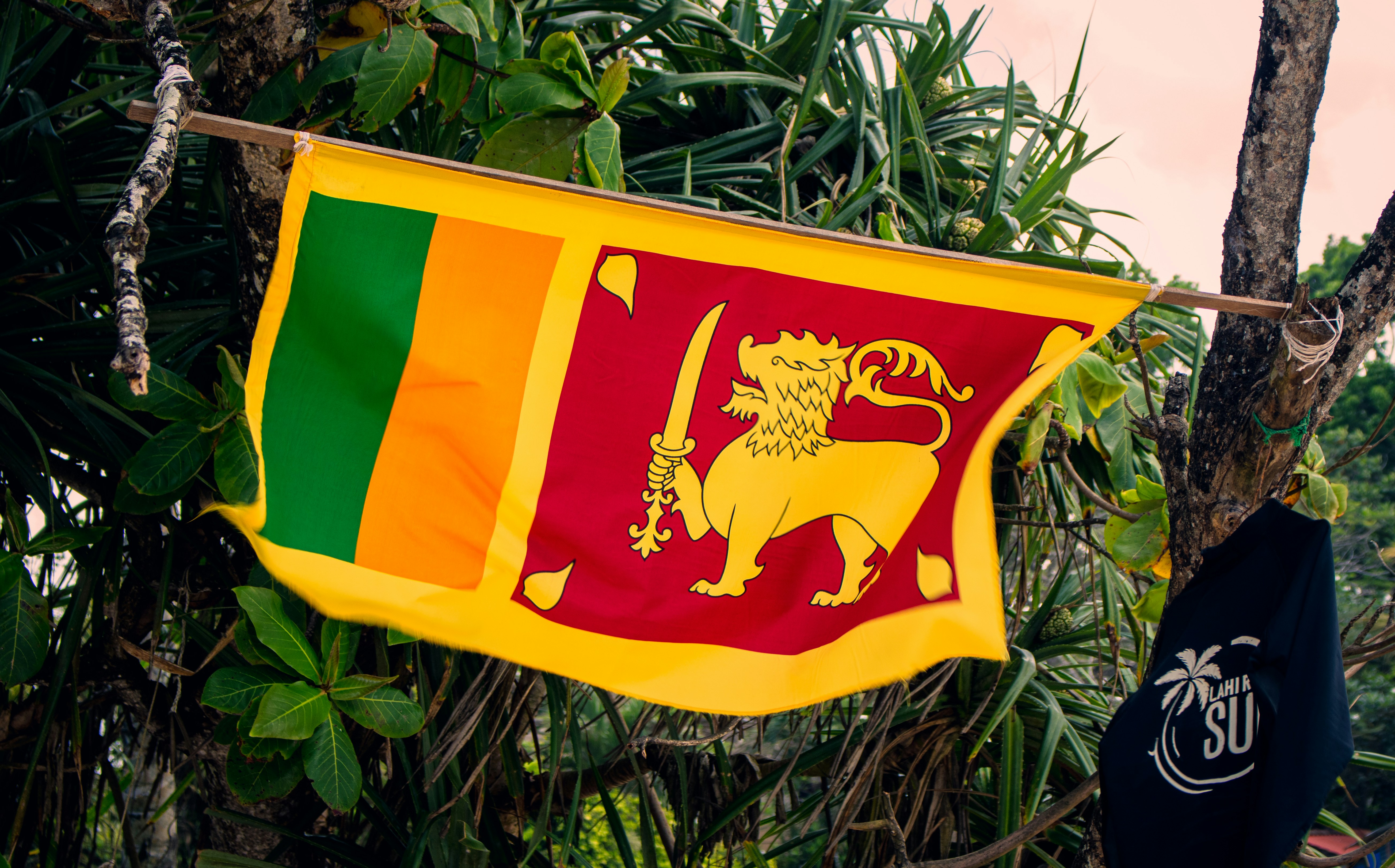 Sri Lanka ETA 2026: Mandatory Pre-Travel Rules