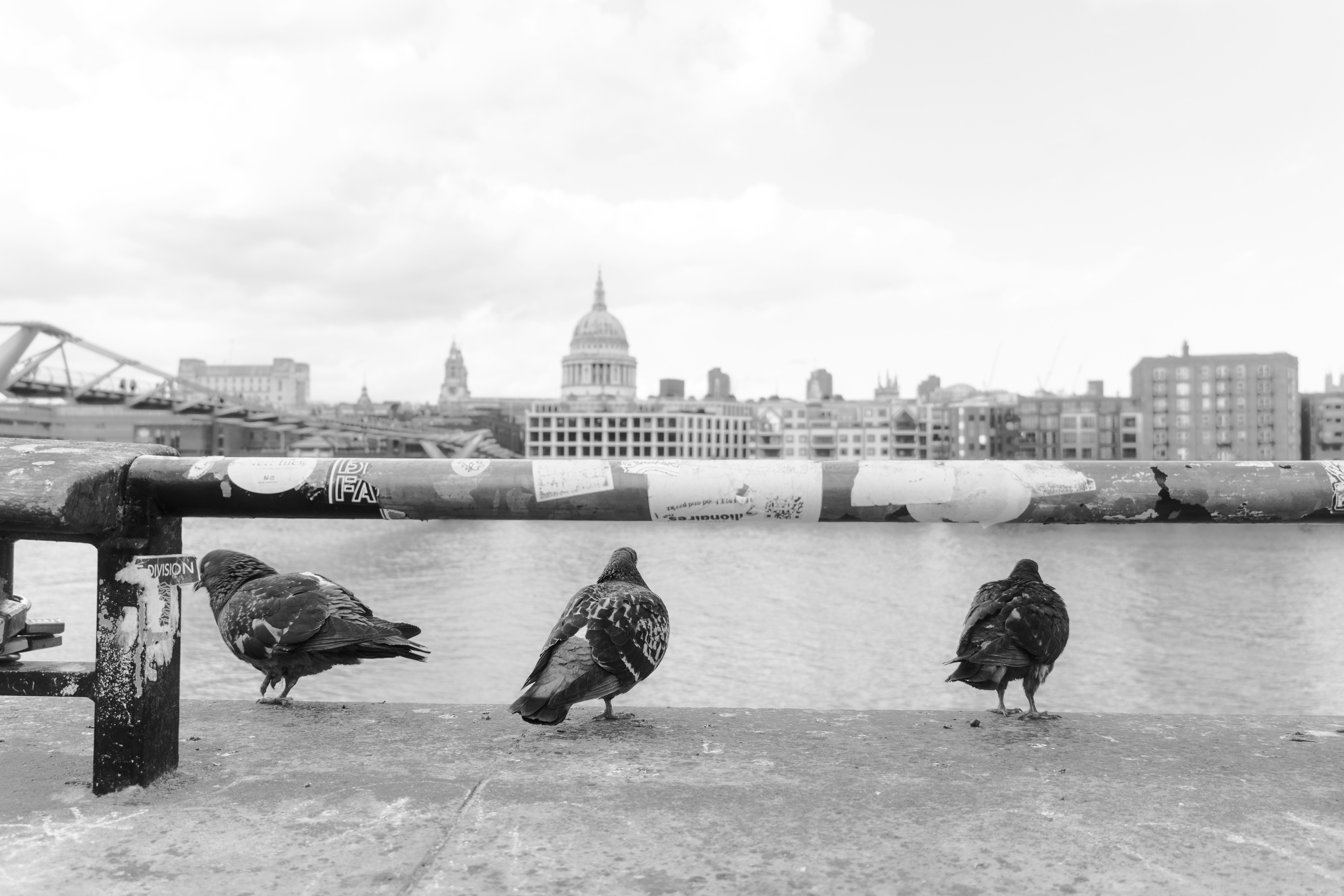 Three pigeons stand on a ledge with city skyline.