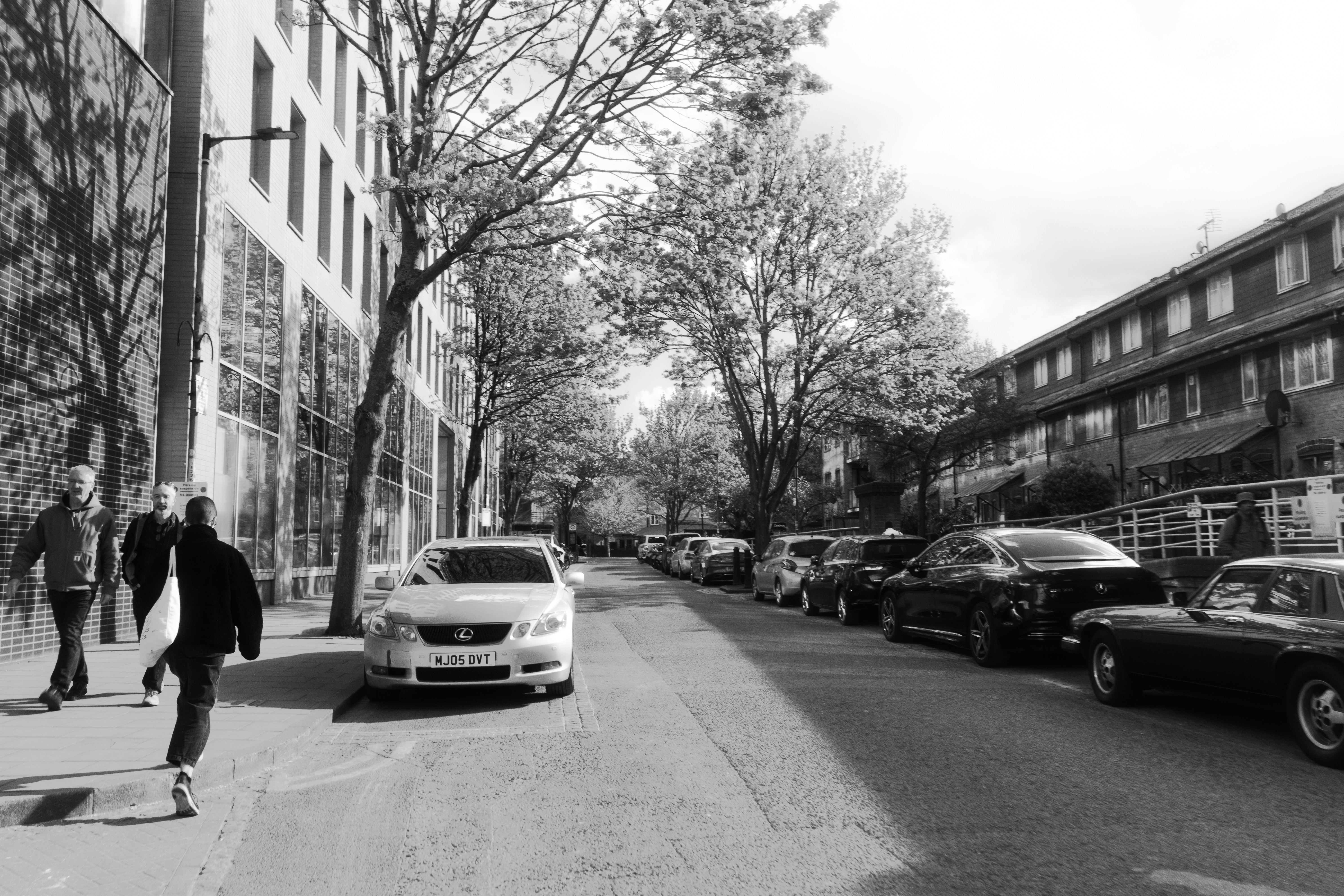 People walk down a tree-lined street with parked cars.