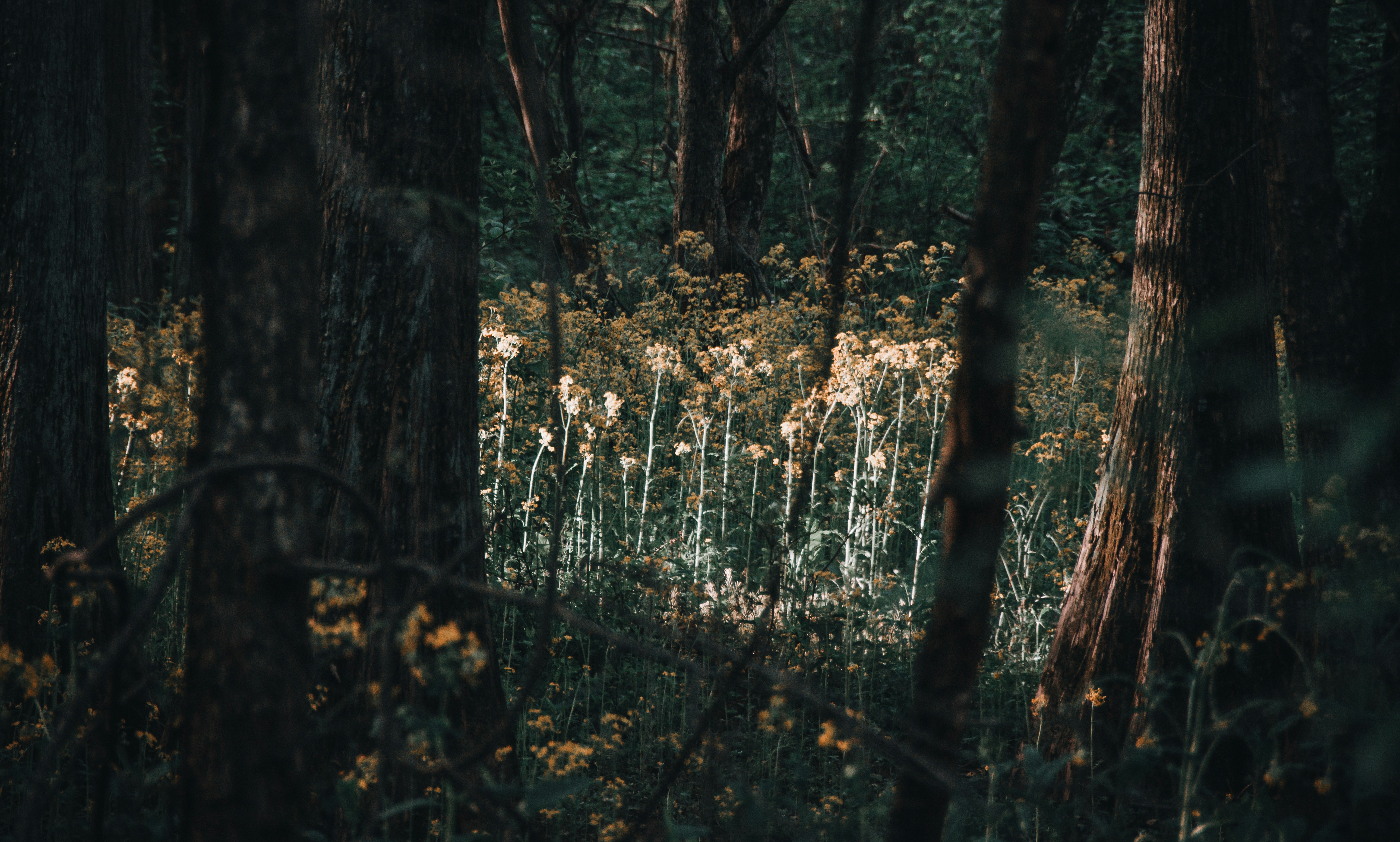 Photo by grimnir35mm